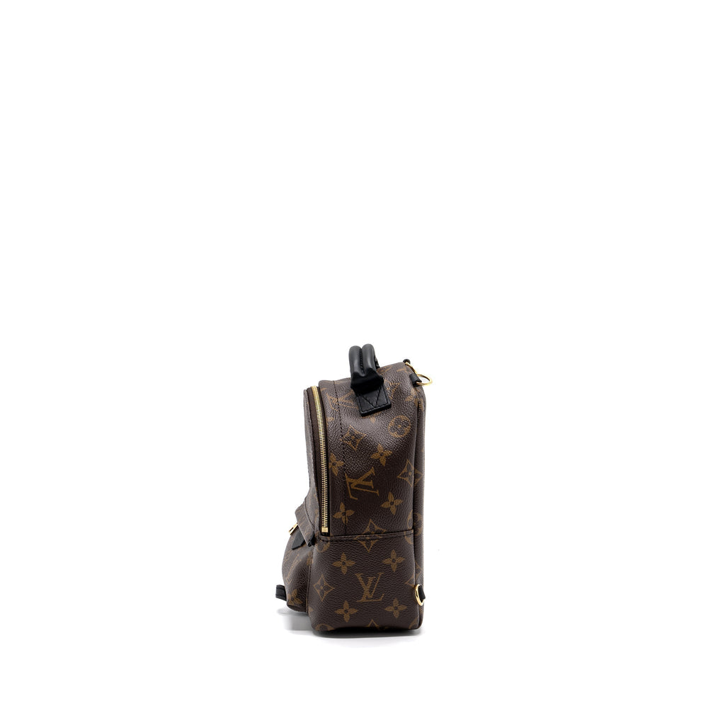louis-vuitton-palm-spring-mini-backpack-monogram-canvas-ghw-8