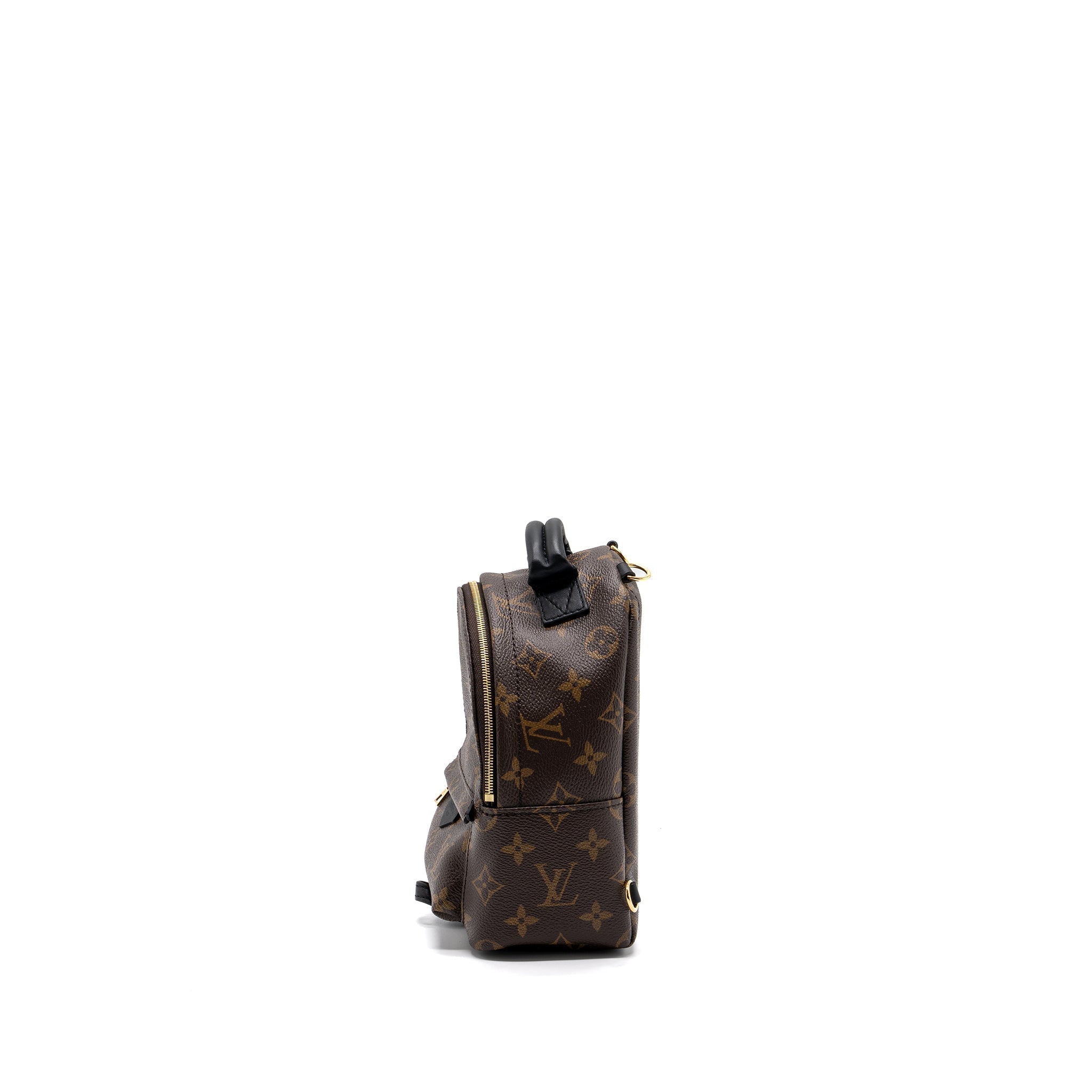 louis-vuitton-palm-spring-mini-backpack-monogram-canvas-ghw-8
