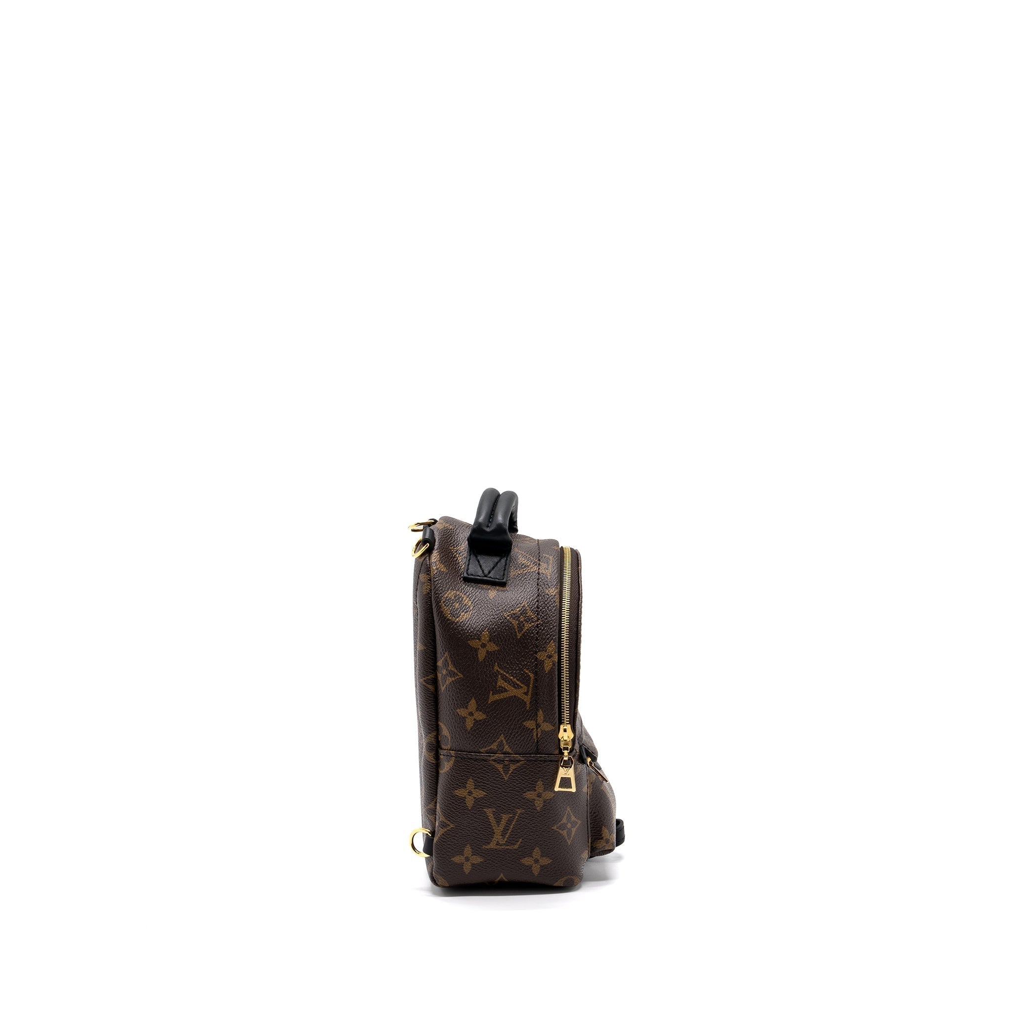 louis-vuitton-palm-spring-mini-backpack-monogram-canvas-ghw-8