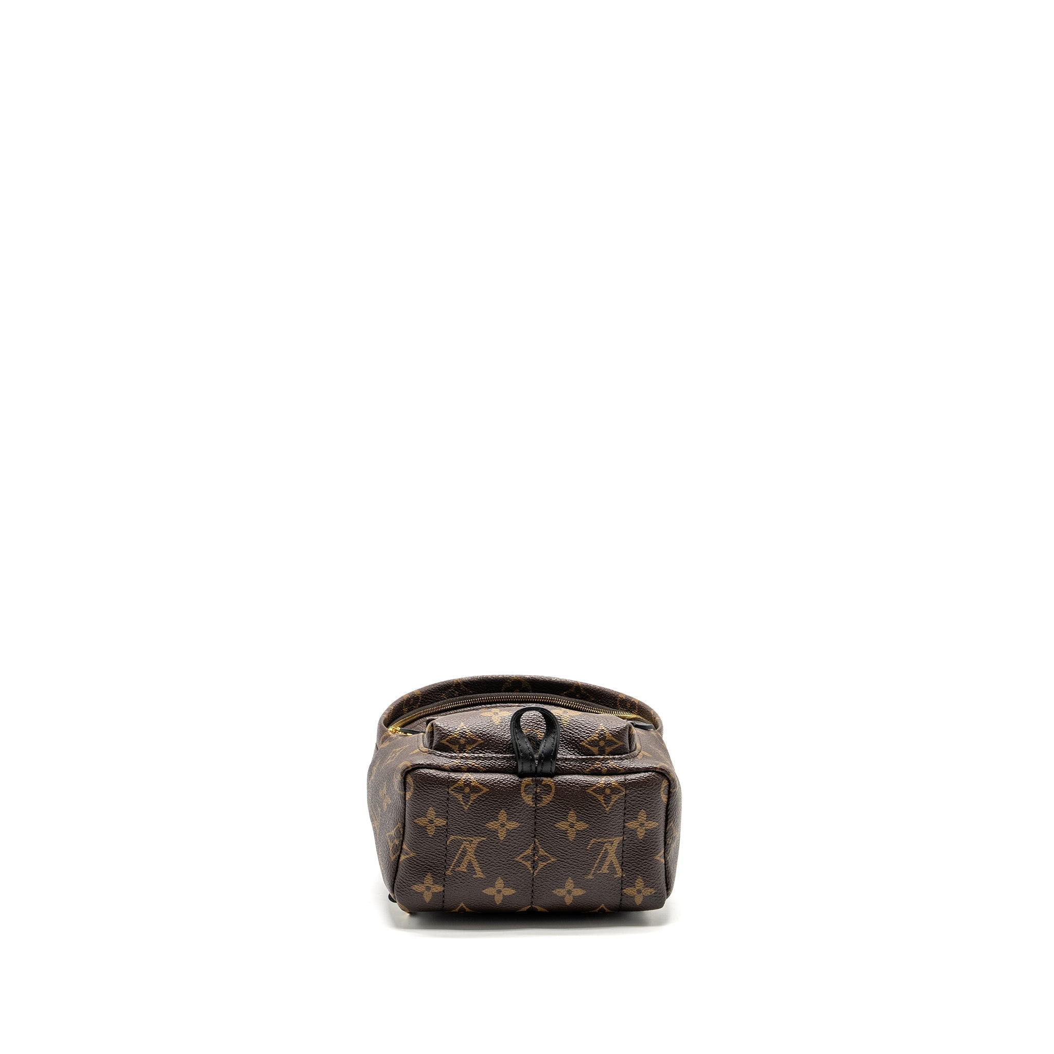 louis-vuitton-palm-spring-mini-backpack-monogram-canvas-ghw-9