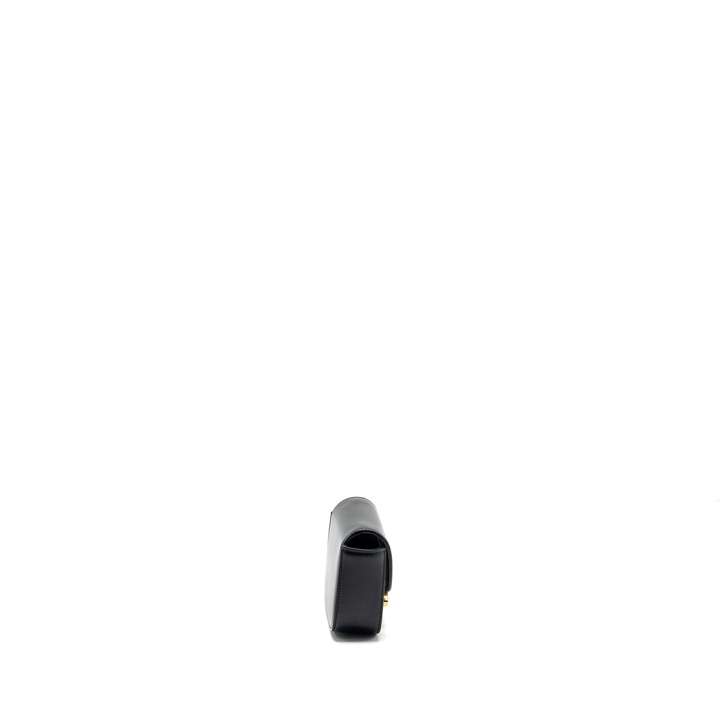 celine-mini-triomphe-shiny-calfskin-black-ghw