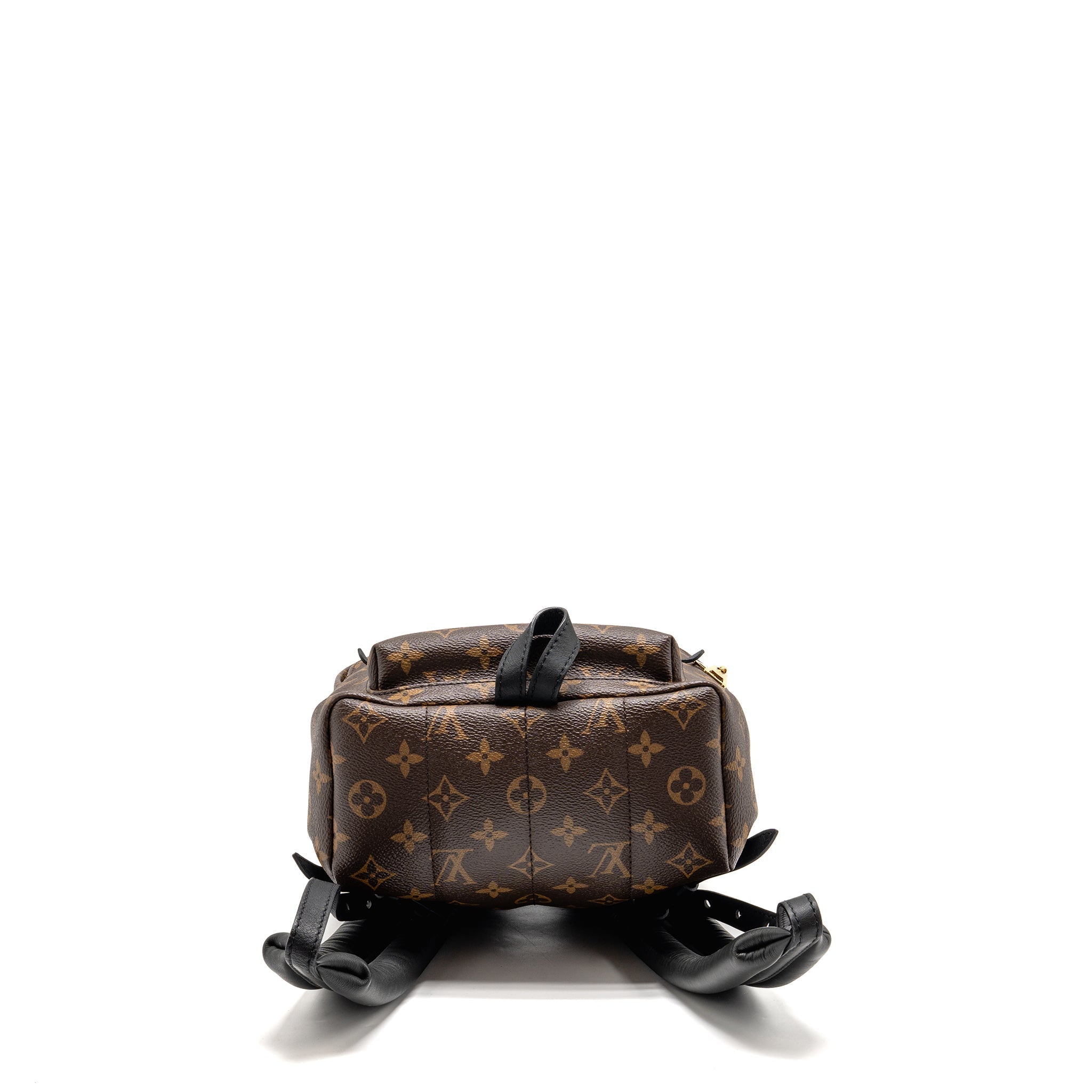 louis-vuitton-palm-spring-pm-backpack-monogram-canvas-ghw-3