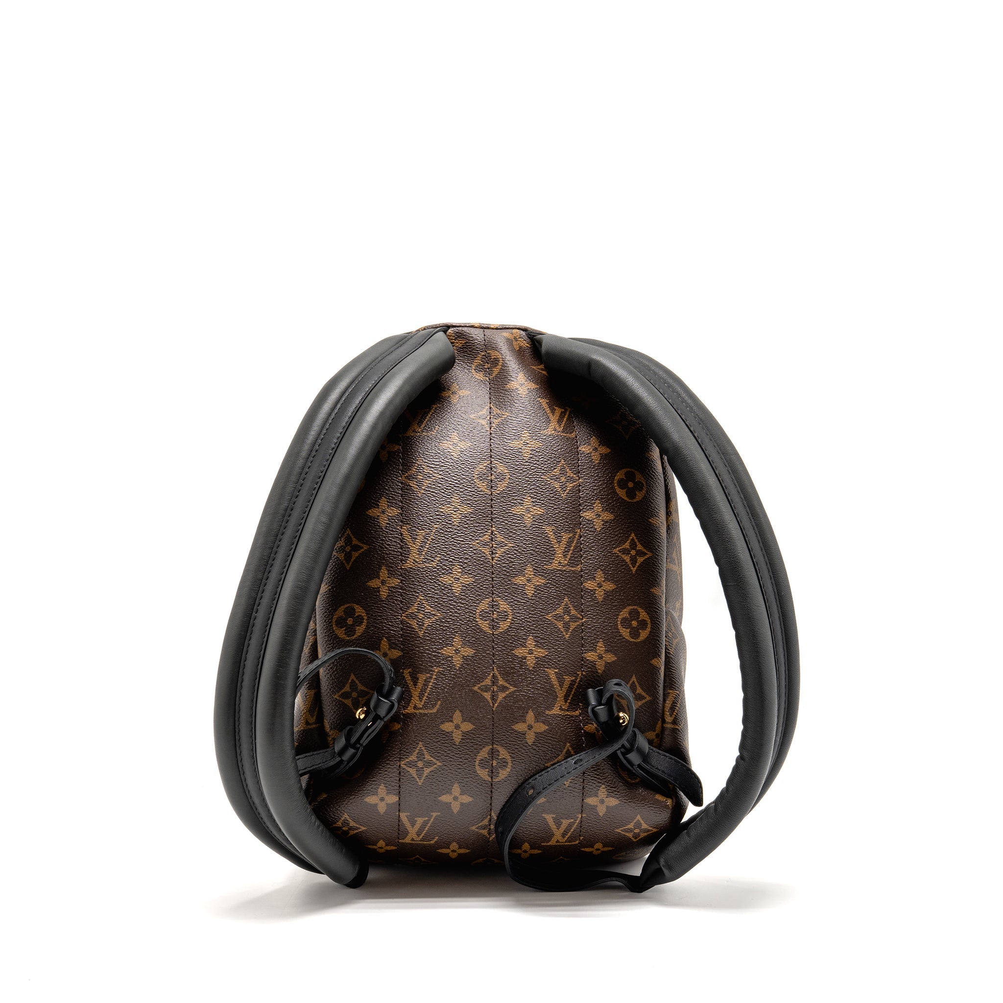 louis-vuitton-palm-spring-pm-backpack-monogram-canvas-ghw-3