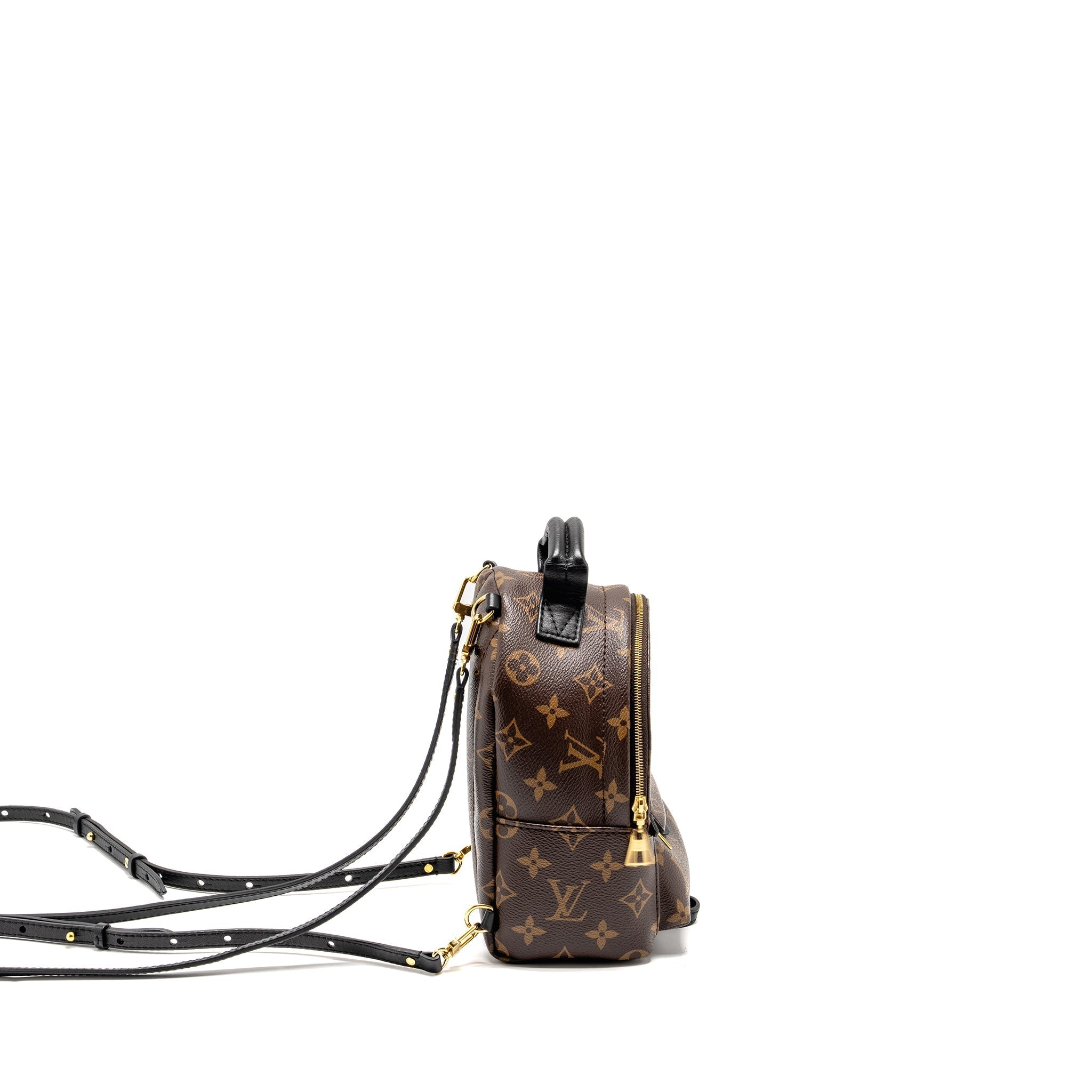 louis-vuitton-mini-palm-spring-backpack-monogram-canvas-ghw-11