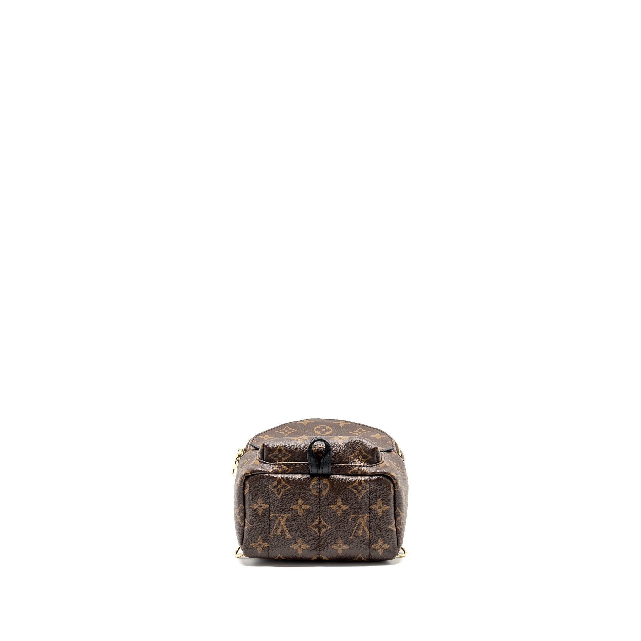 louis-vuitton-palm-spring-mini-backpack-monogram-canvas-2