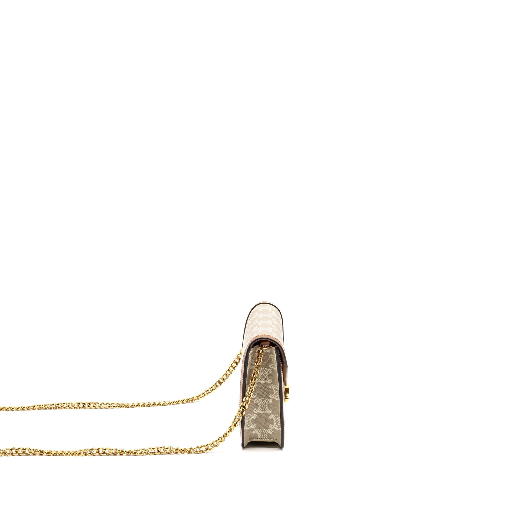 celine-envelope-bag-in-triomphe