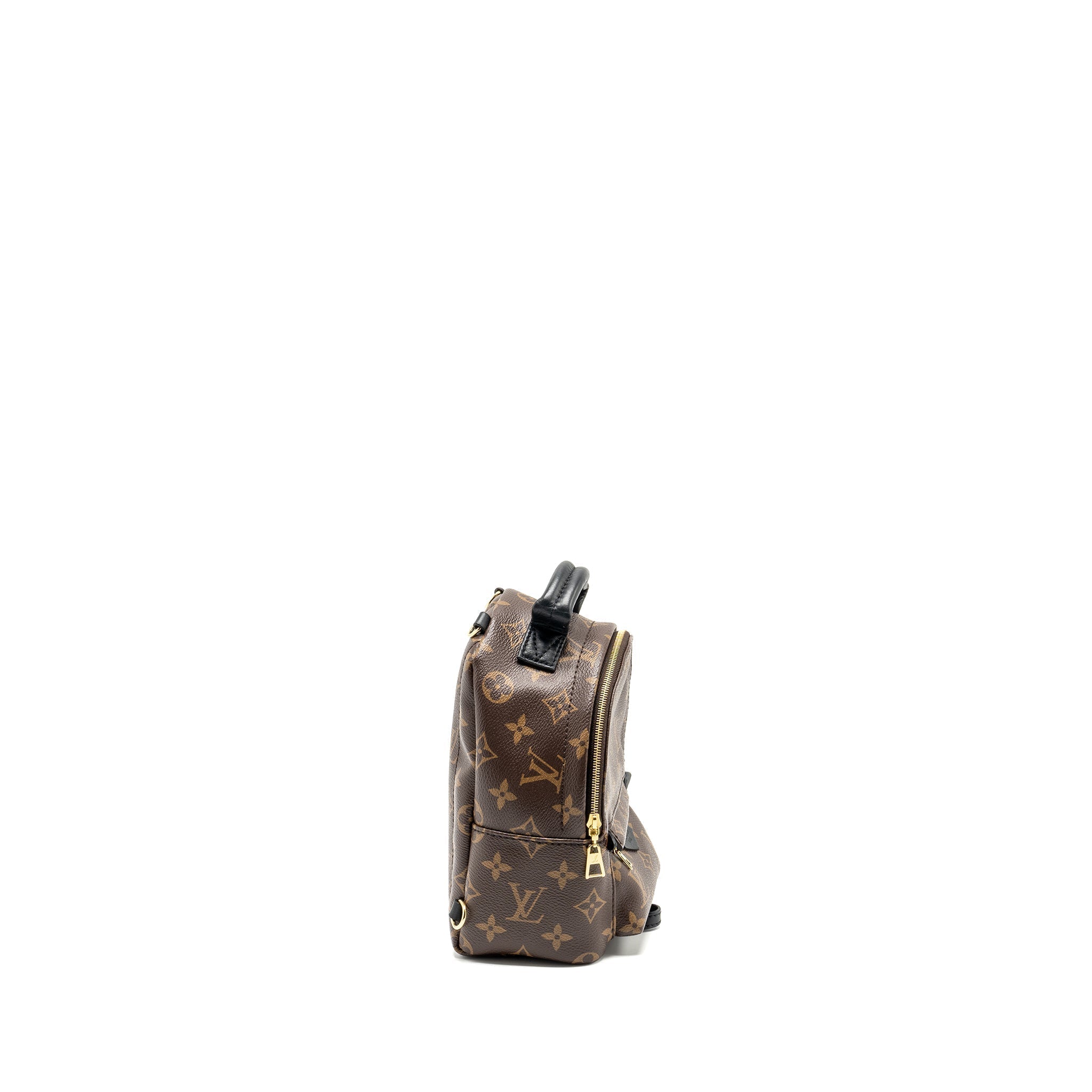 louis-vuitton-palm-spring-mini-backpack-monogram-canvas-2