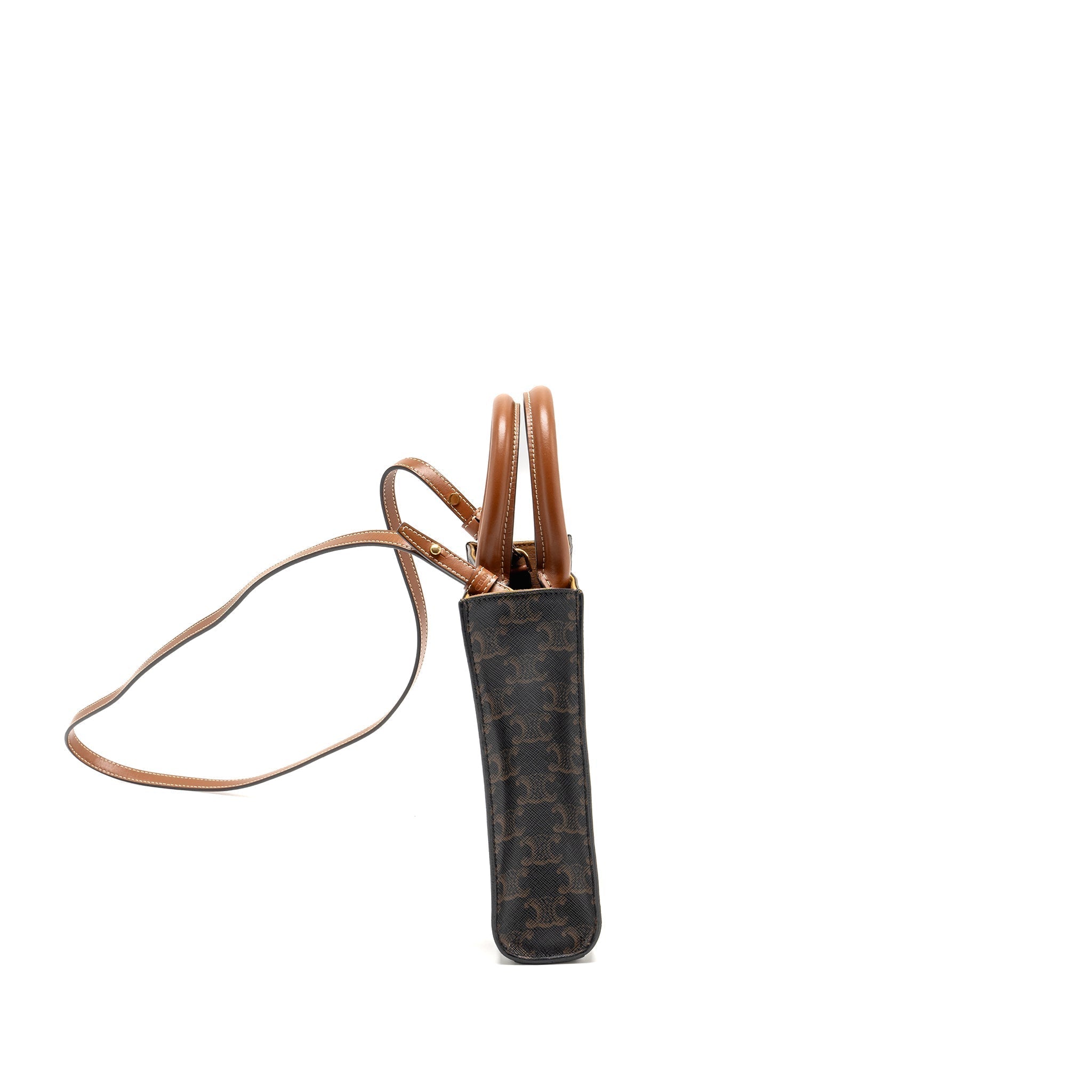 celine-mini-vertical-cabas-triomphe-canvas-ghw-copy