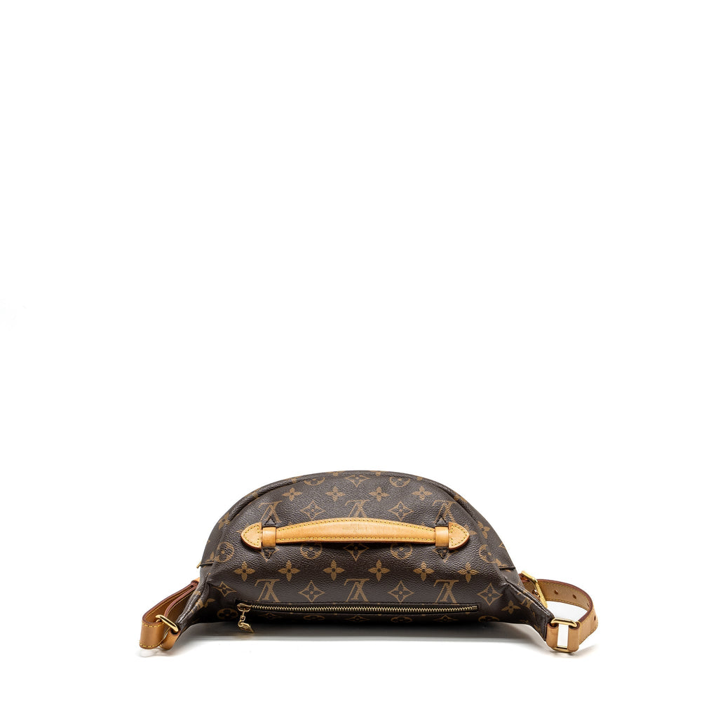 louis-vuitton-bumbag-monogram-canvas-ghw-4