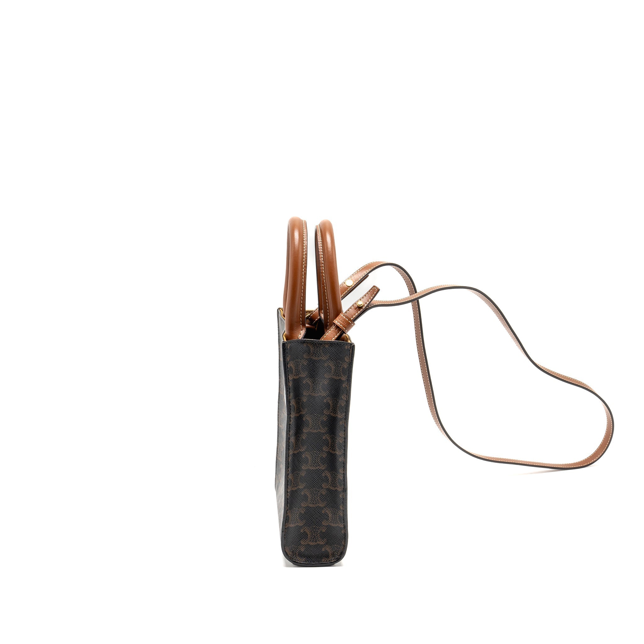 celine-mini-vertical-cabas-triomphe-canvas-ghw-copy
