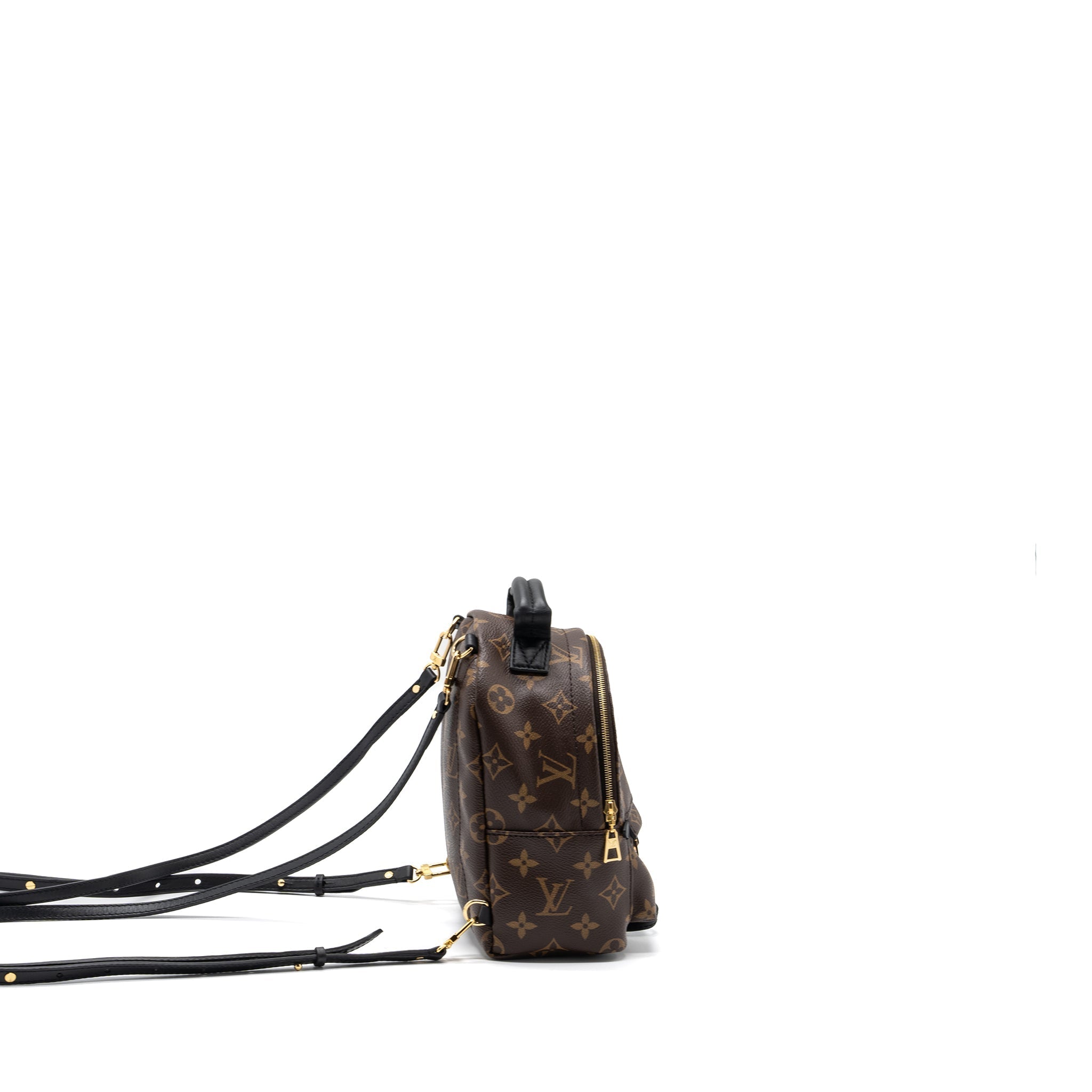 louis-vuitton-palm-spring-mini-backpack-monogram-canvas-ghw-new-version
