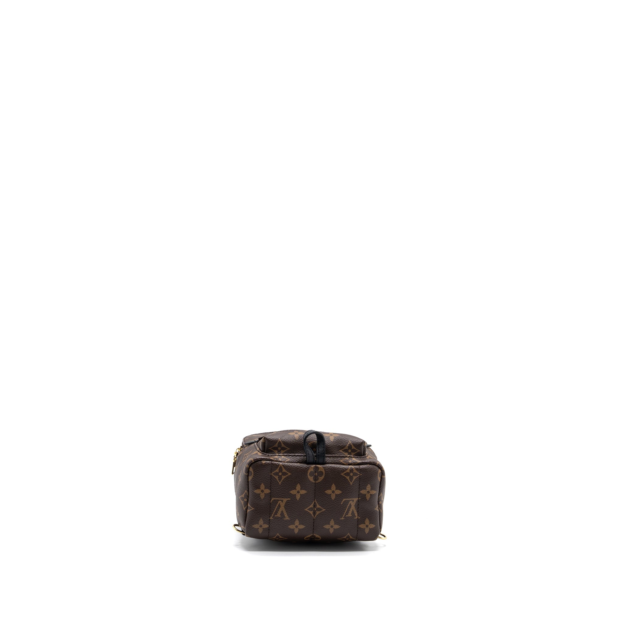 louis-vuitton-palm-spring-mini-backpack-monogram-canvas-ghw-new-version