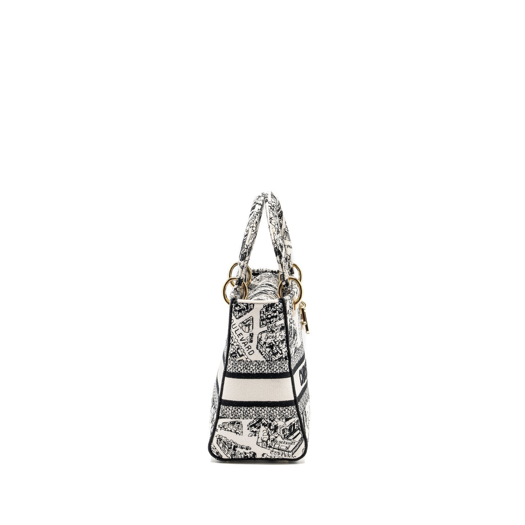 dior-medium-lady-d-lite-bag-plan-de-paris-embroidery-canvas-black-white-lghw-copy