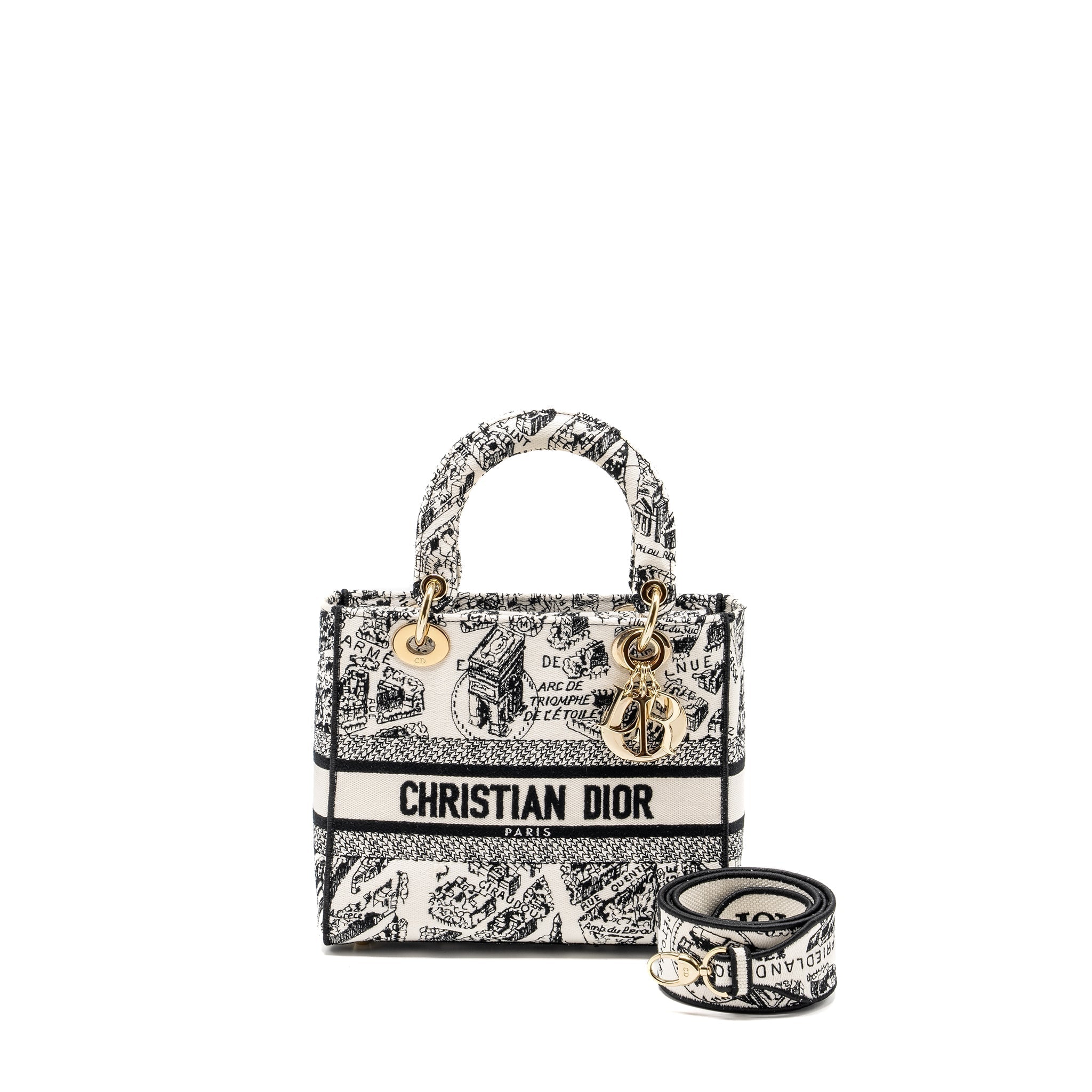 dior-medium-lady-d-lite-bag-plan-de-paris-embroidery-canvas-black-white-lghw-copy