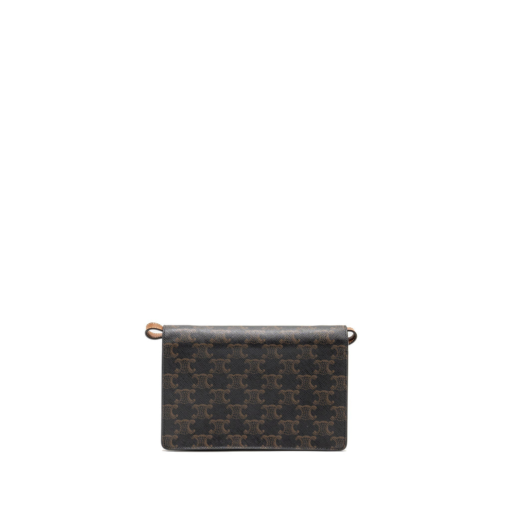 celine-bag-1
