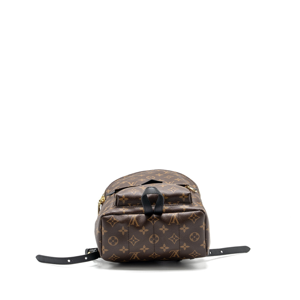 louis-vuitton-palm-spring-pm-backpack-monogram-canvas-ghw-1