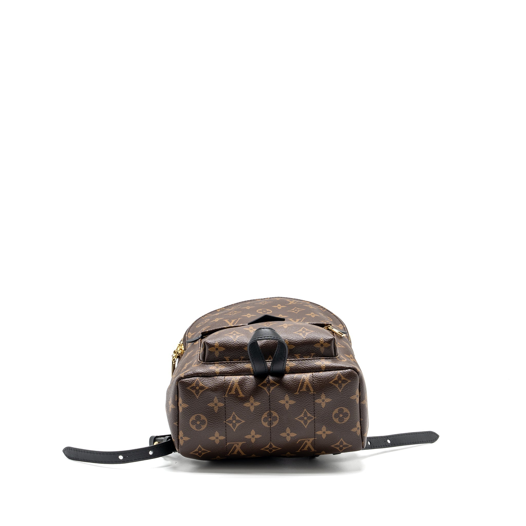 louis-vuitton-palm-spring-pm-backpack-monogram-canvas-ghw-1