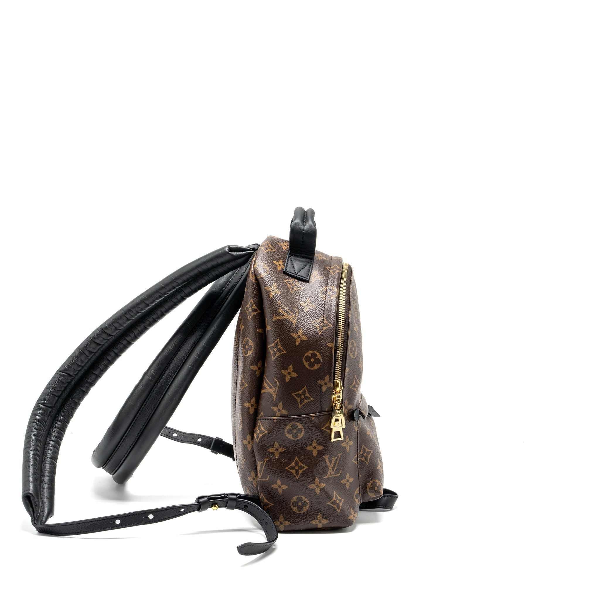 louis-vuitton-palm-spring-pm-backpack-monogram-canvas-ghw-1