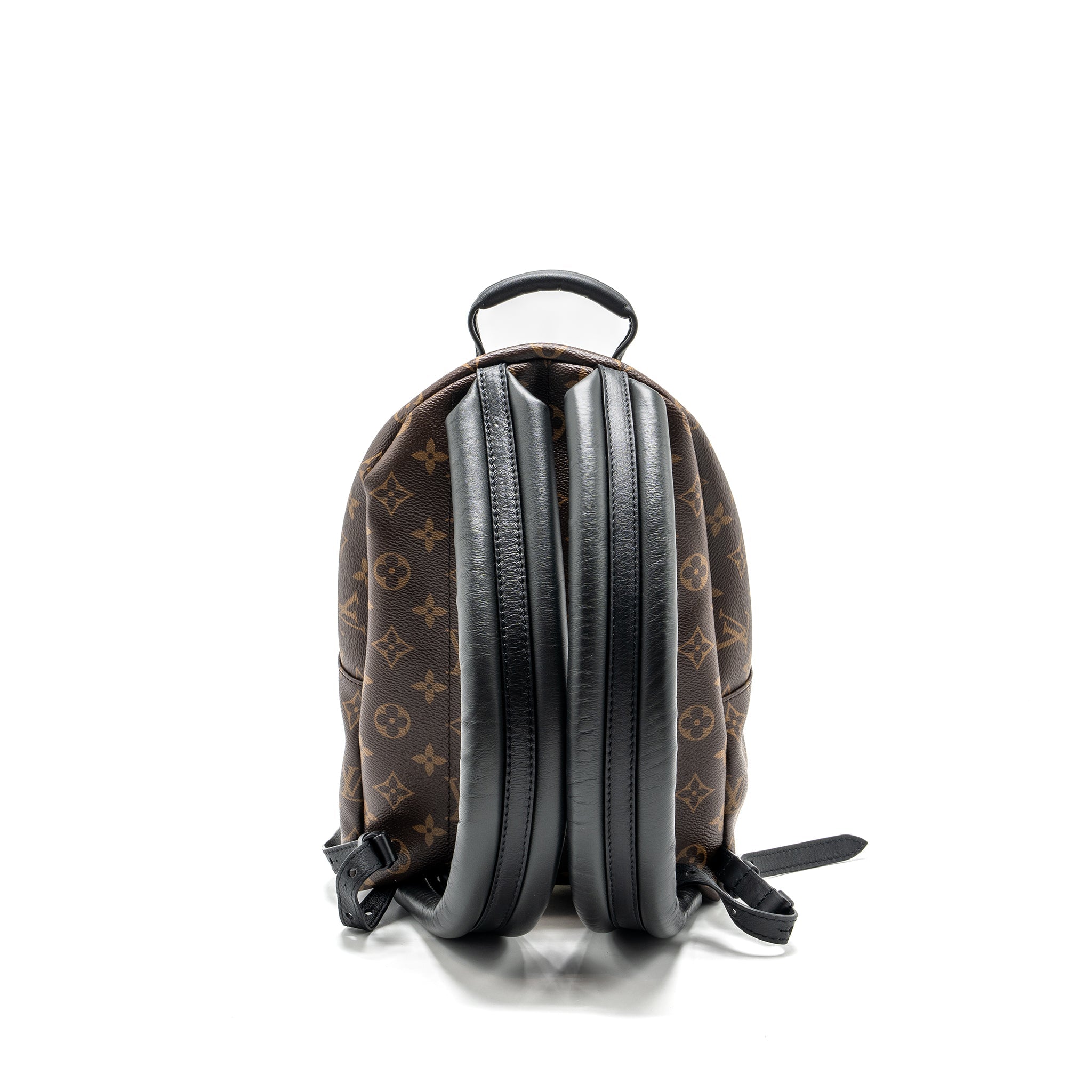 louis-vuitton-palm-spring-pm-backpack-monogram-canvas-ghw-1