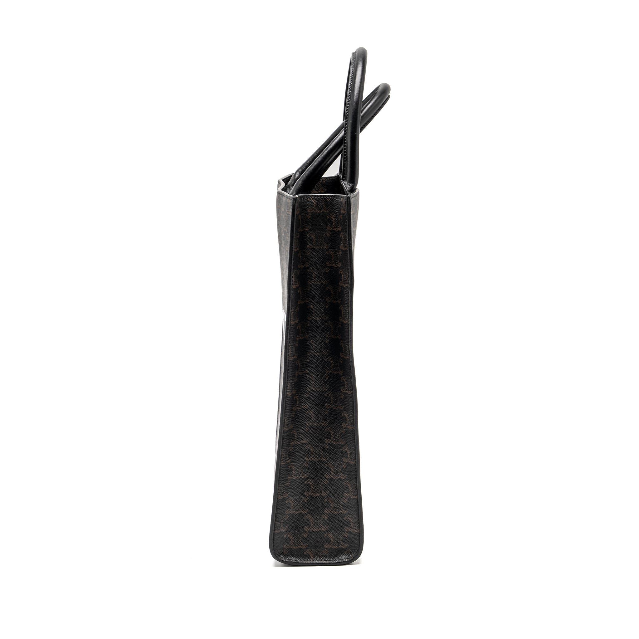 celine-vertical-cabas-in-triomphe-canvas-black-multicolour-ghw