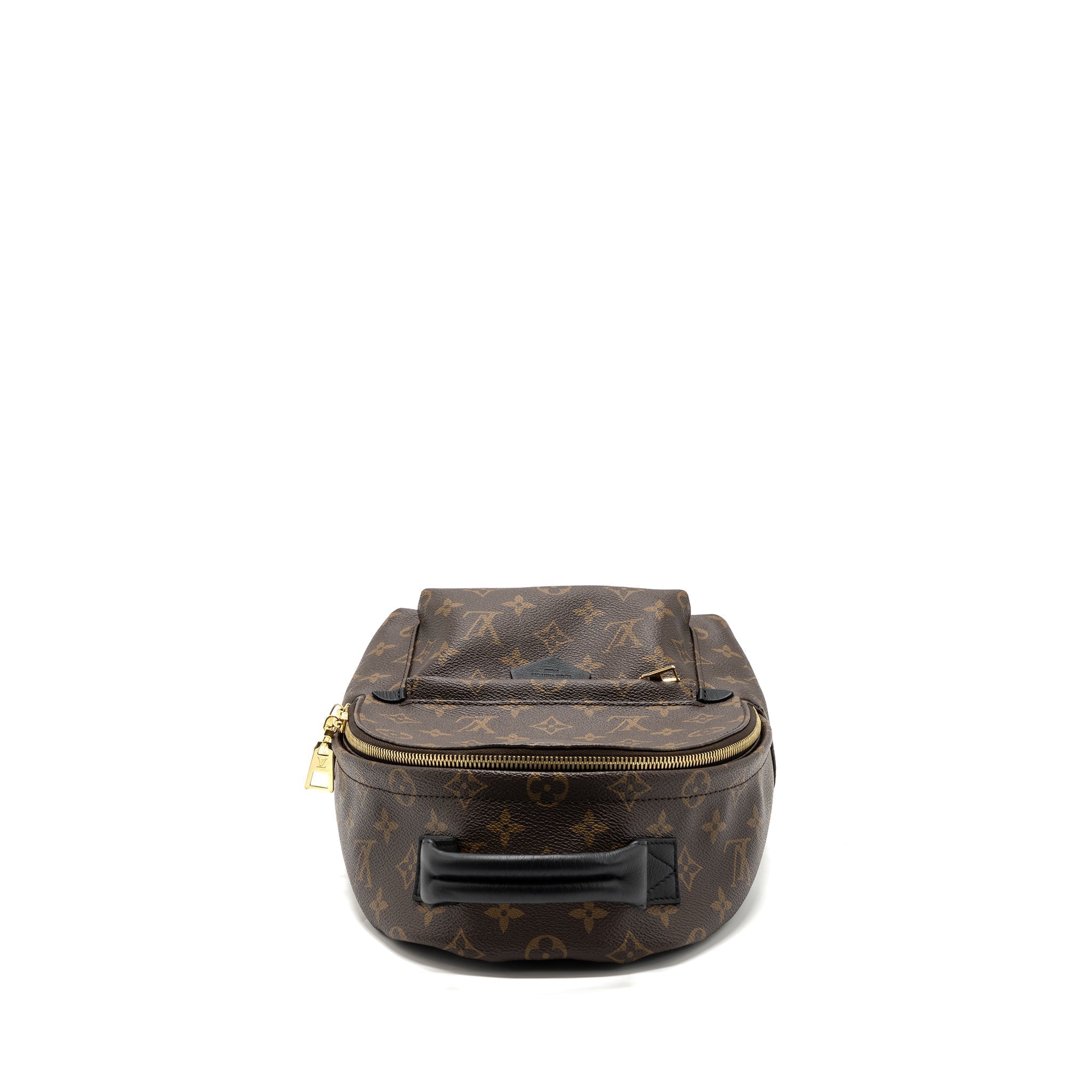 louis-vuitton-palm-spring-backpack-pm-monogram-canvas-ghw