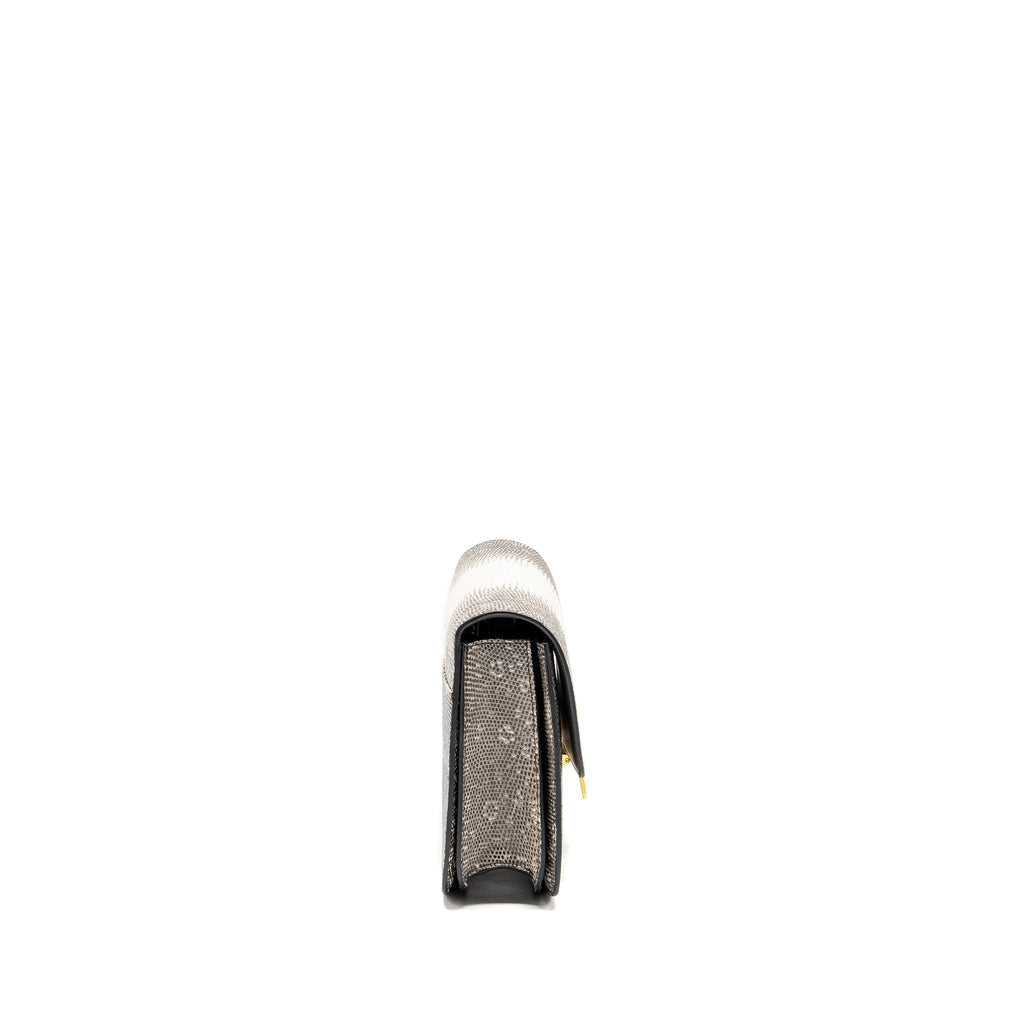 celine-medium-box-lizard-natural-ghw-1