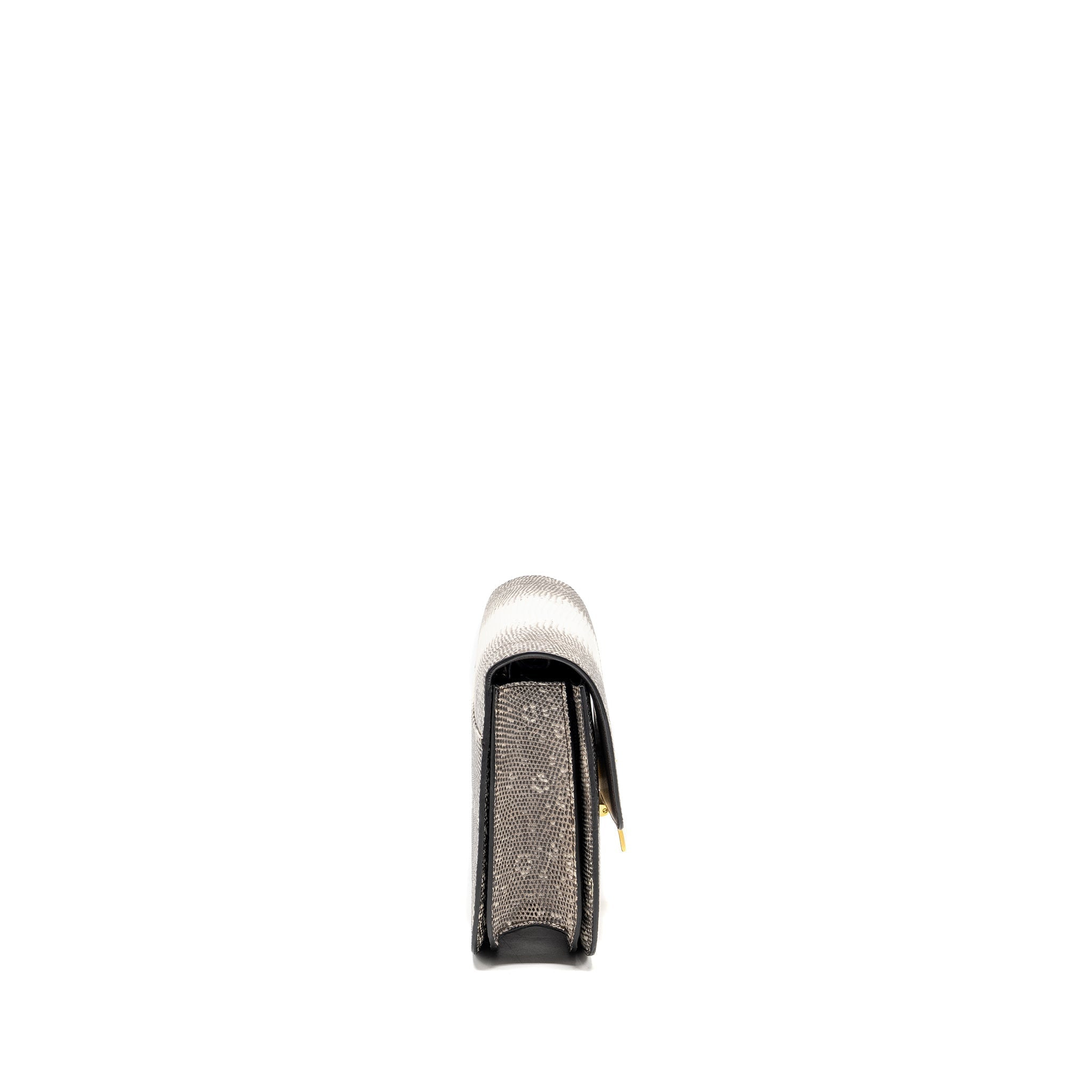 celine-medium-box-lizard-natural-ghw-1