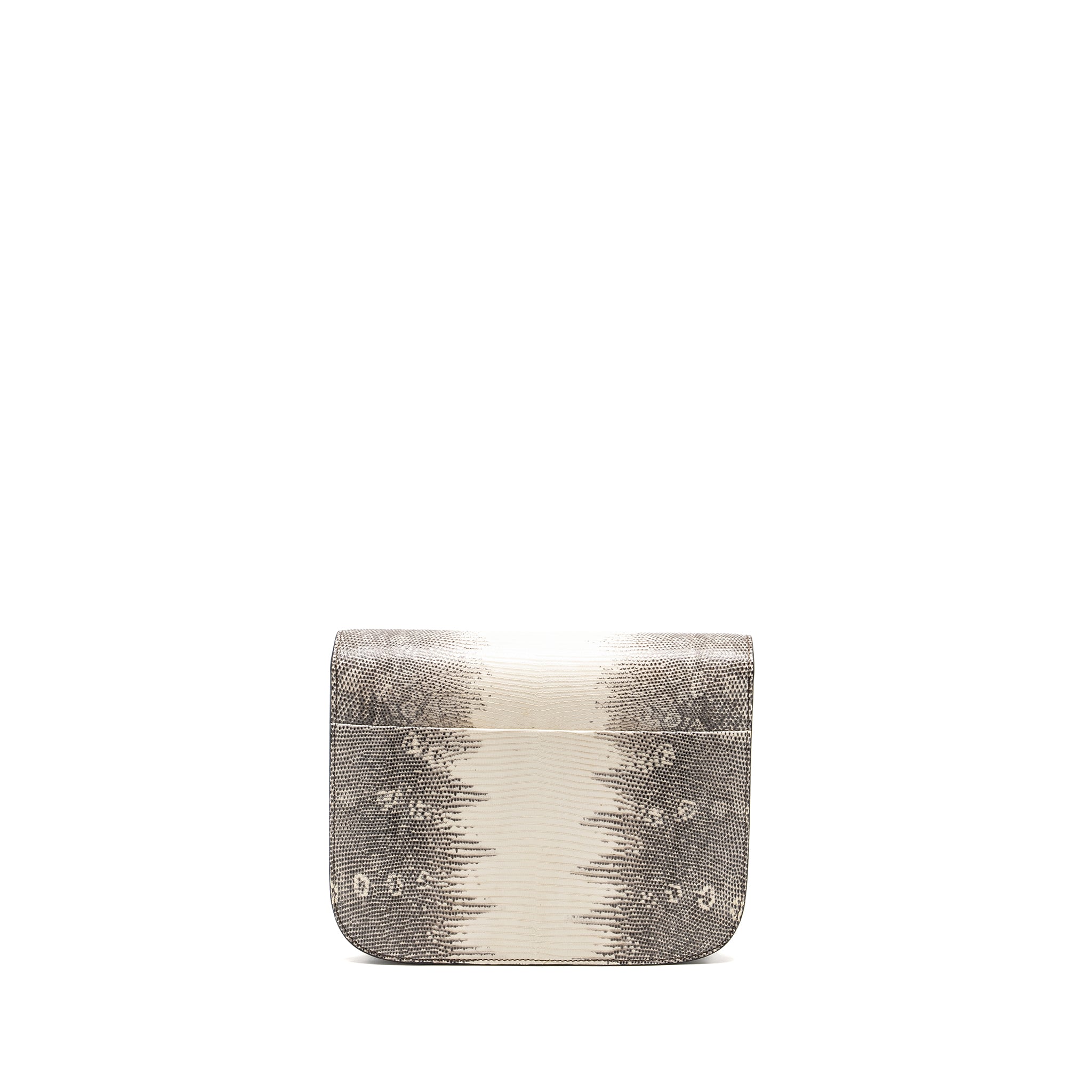 celine-medium-box-lizard-natural-ghw-1