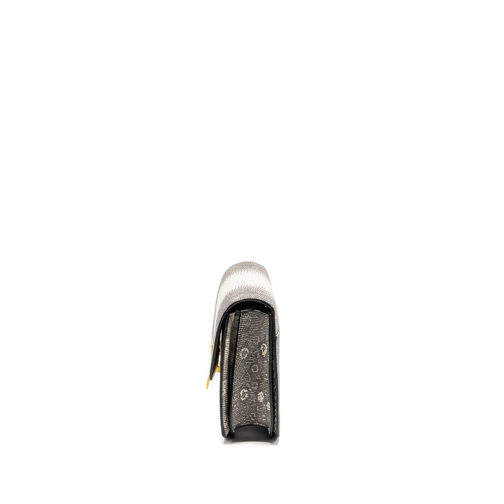 celine-medium-box-lizard-natural-ghw-1