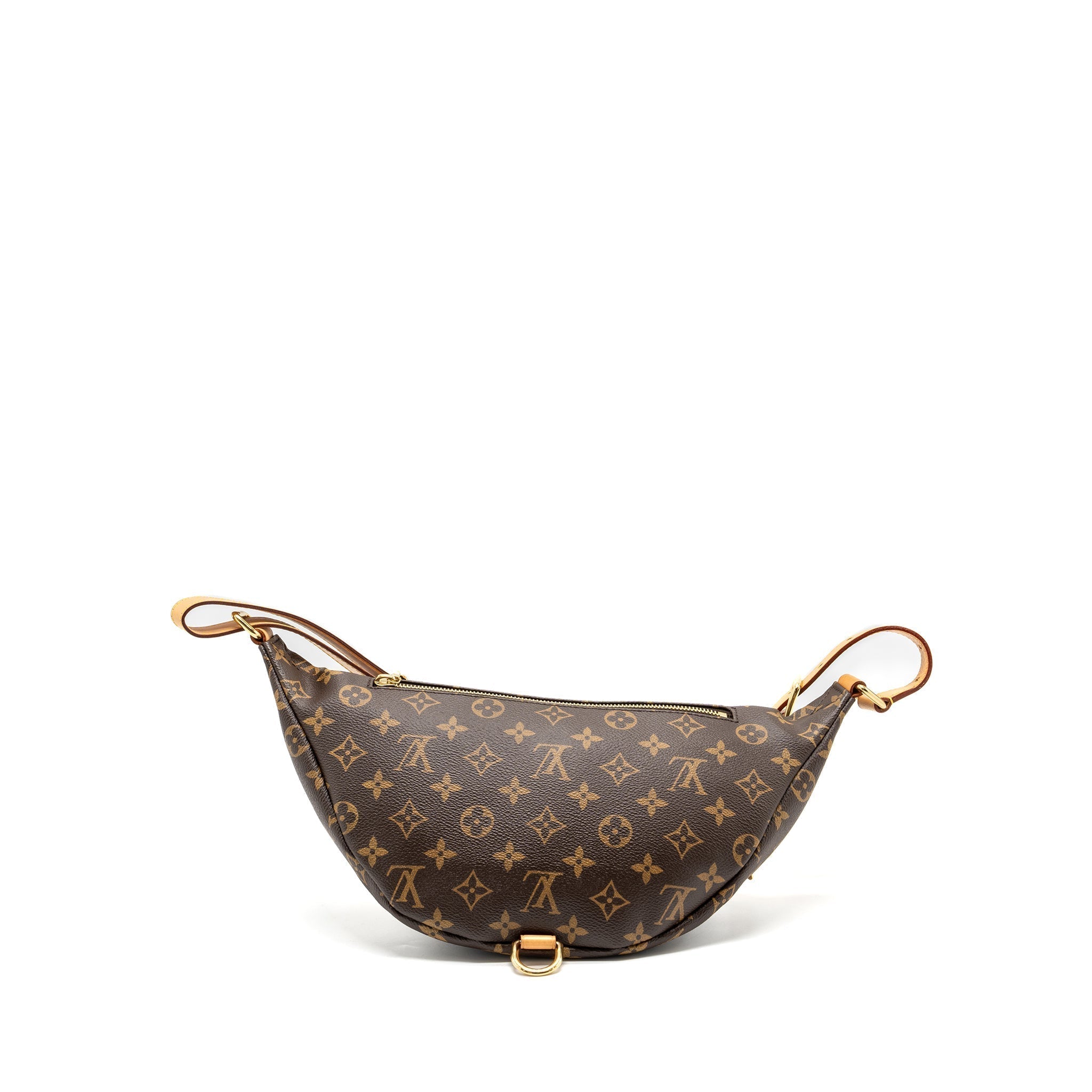 louis-vuitton-bumbag-monogram-canvas-ghw-3