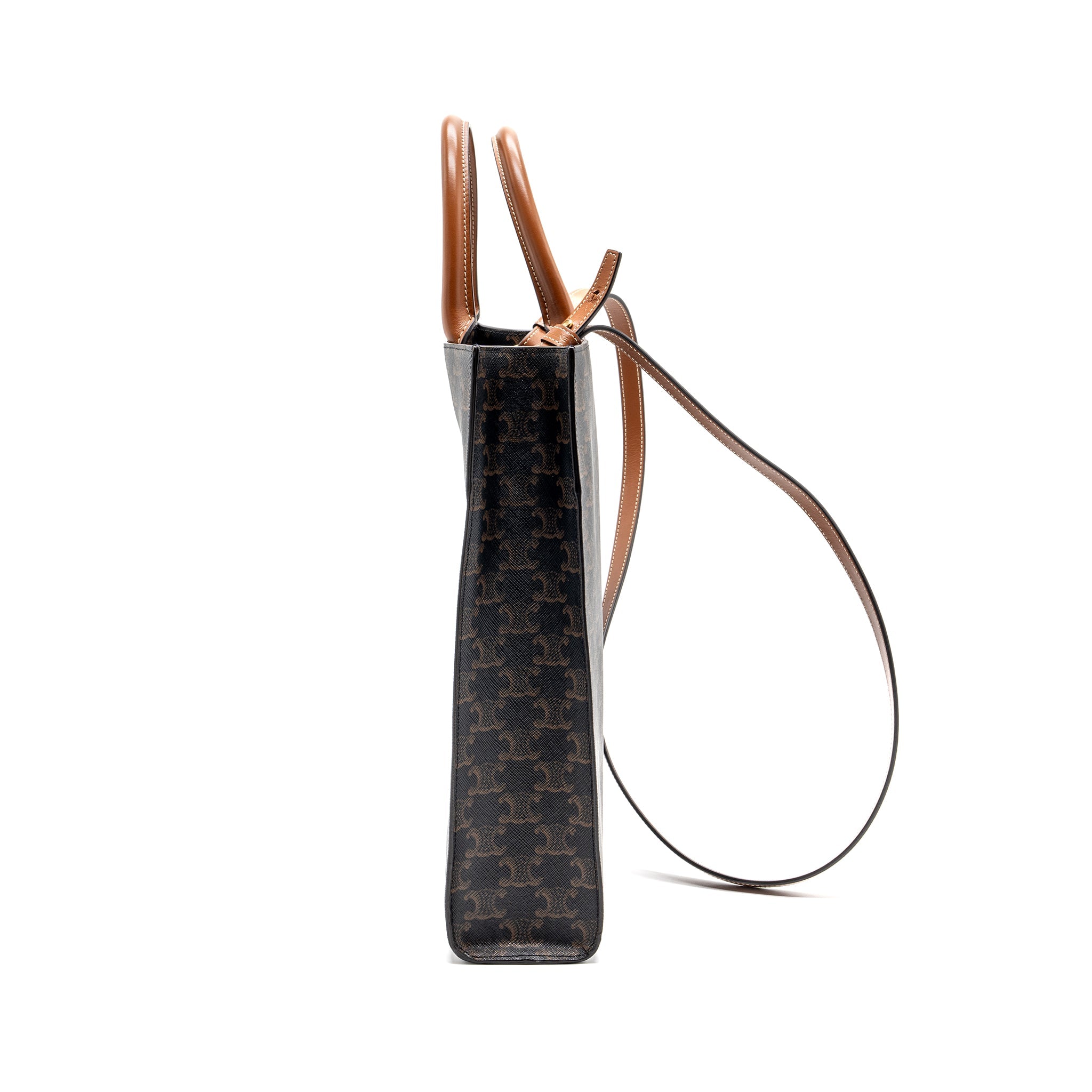 celine-vertical-cabas-triomphe-canvas-ghw-3