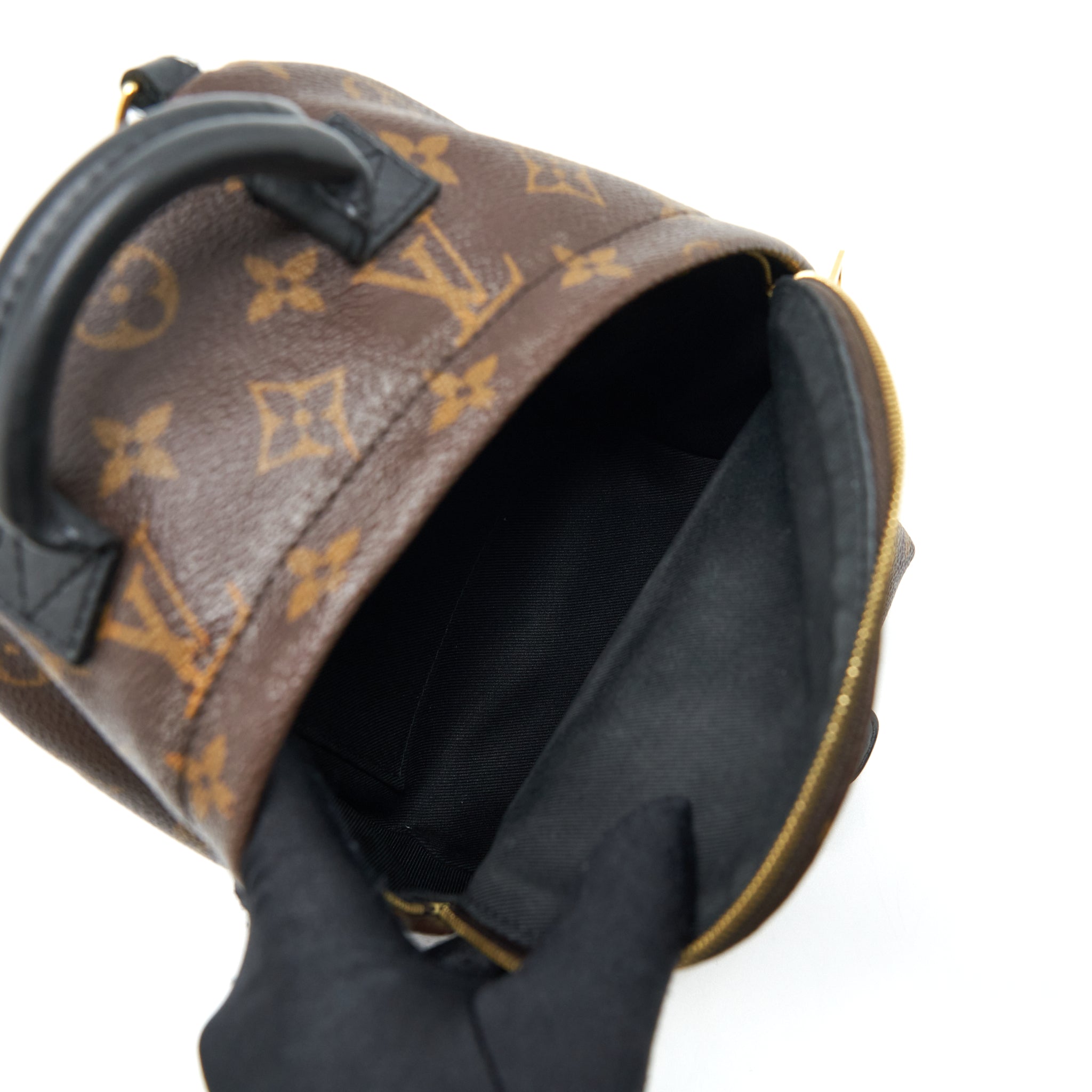 louis-vuitton-palm-spring-mini-backpack-monogram-canvas-ghw-1