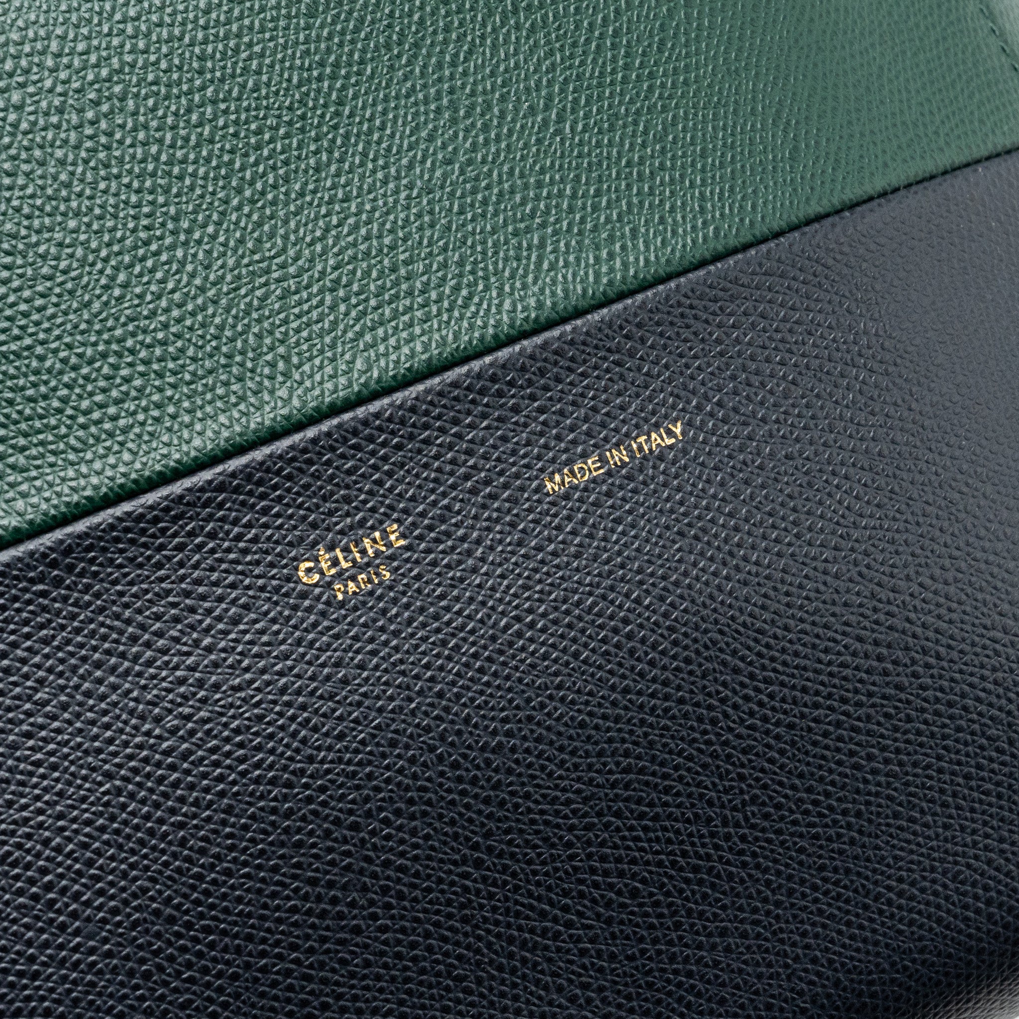celine-vertical-cabas-calfskin-green-navy-ghw
