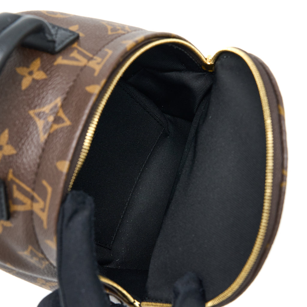 louis-vuitton-mini-palm-spring-backpack-monogram-canvas