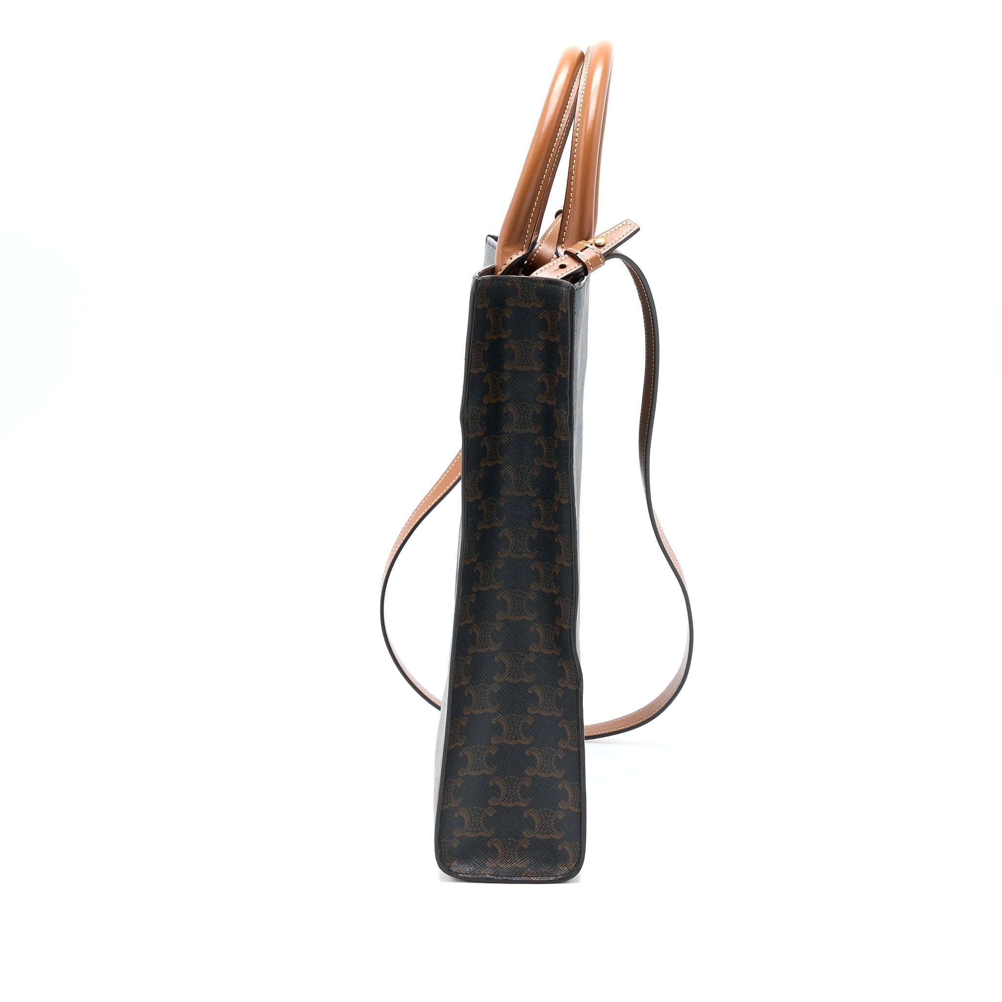 celine-vertical-cabas-triomphe-canvas-ghw-2