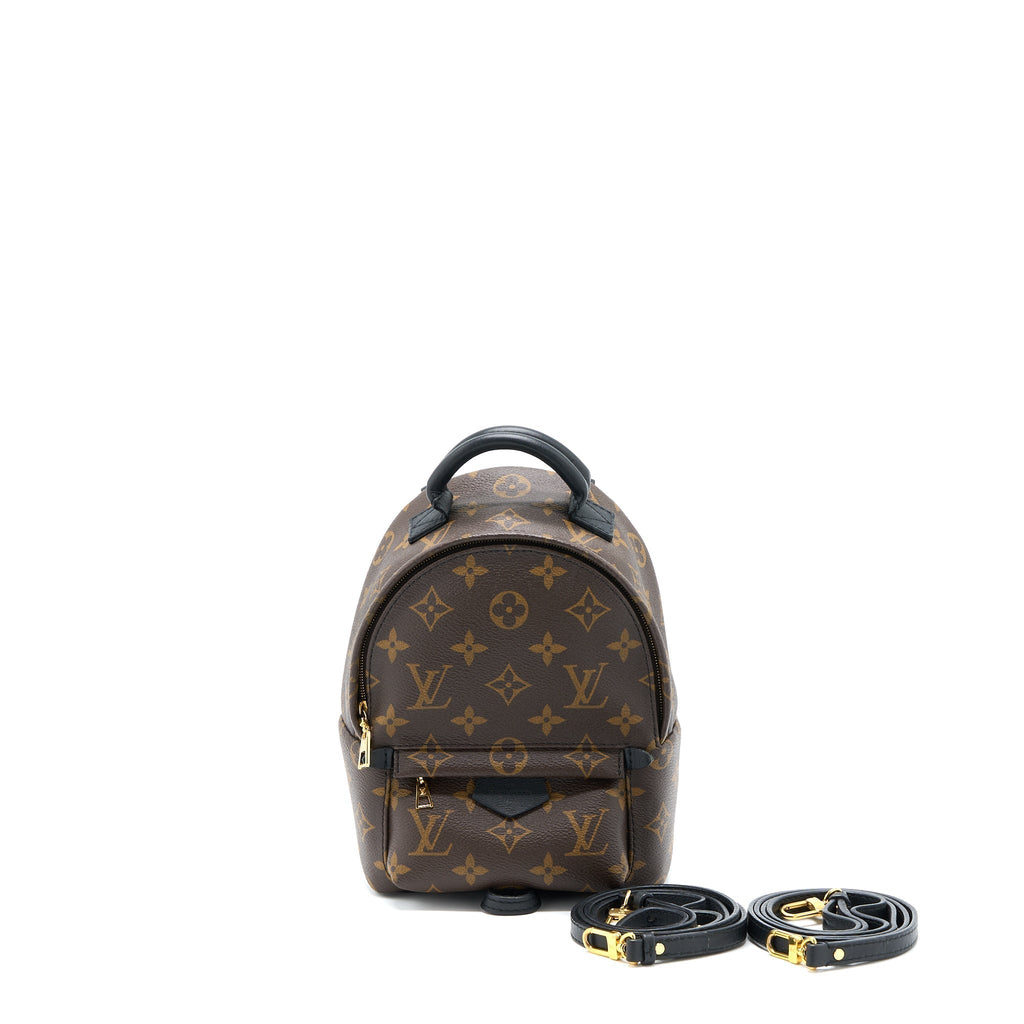 louis-vuitton-palm-spring-mini-backpack-monogram-canvas-ghw-5