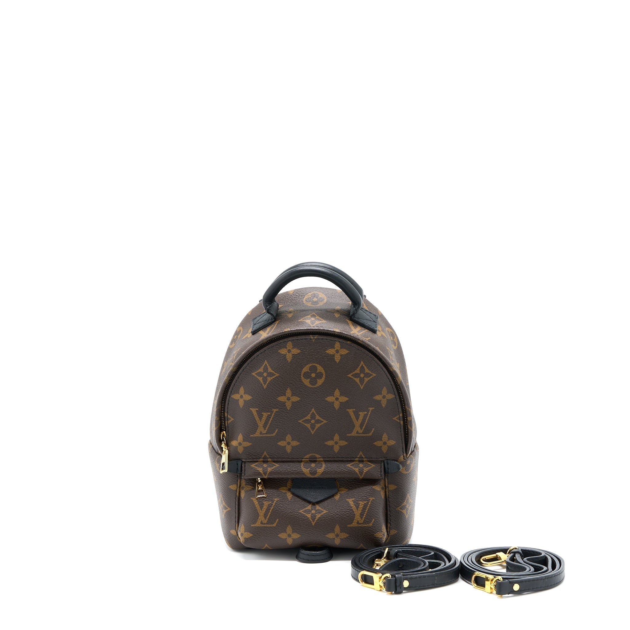 louis-vuitton-palm-spring-mini-backpack-monogram-canvas-ghw-5