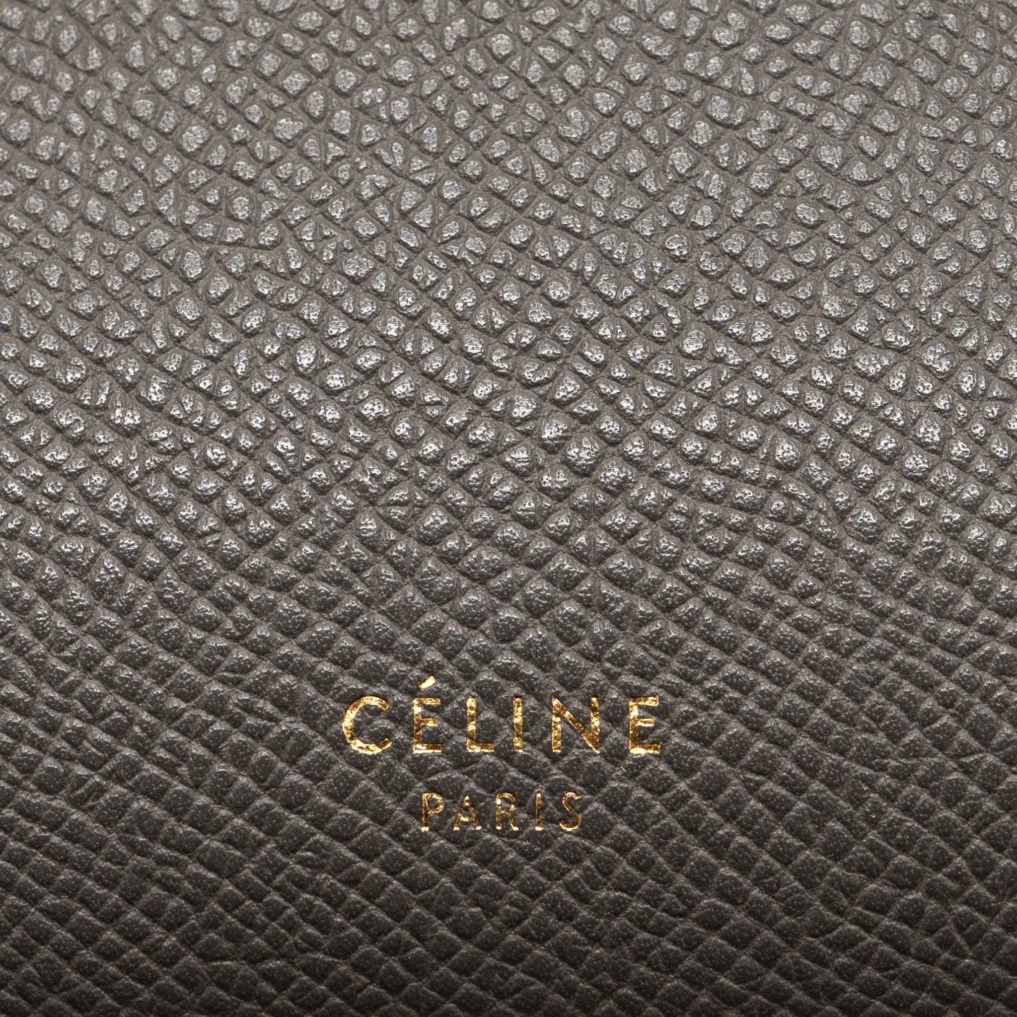 celine-micro-belt-bag-calfskin-grey-ghw