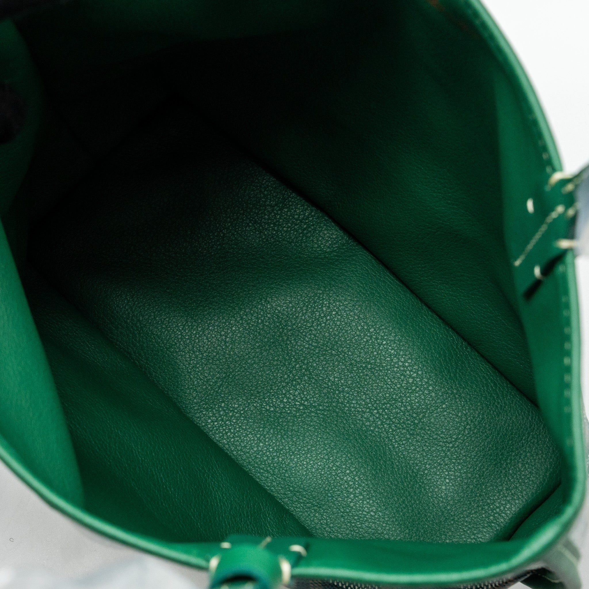 goyard-mini-anjou-tote-bag-goyardline-canvas-calfskin-green-shw-copy