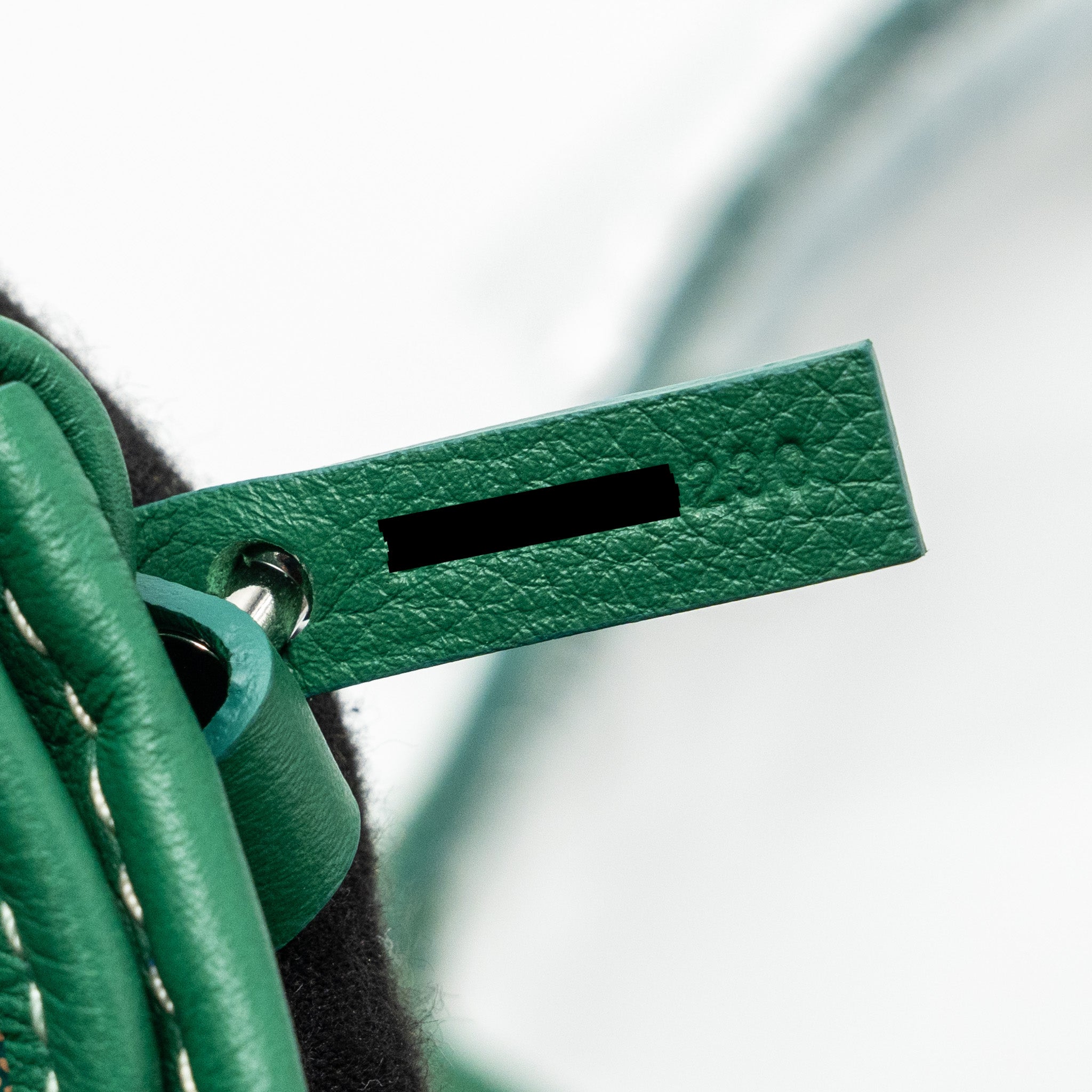 goyard-mini-anjou-tote-bag-goyardline-canvas-calfskin-green-shw-copy