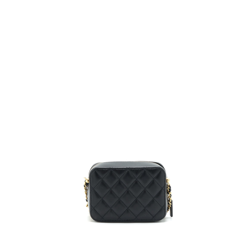 chanel-pearl-crush-mini-camera-case-with-chain-lambskin-black-ghw