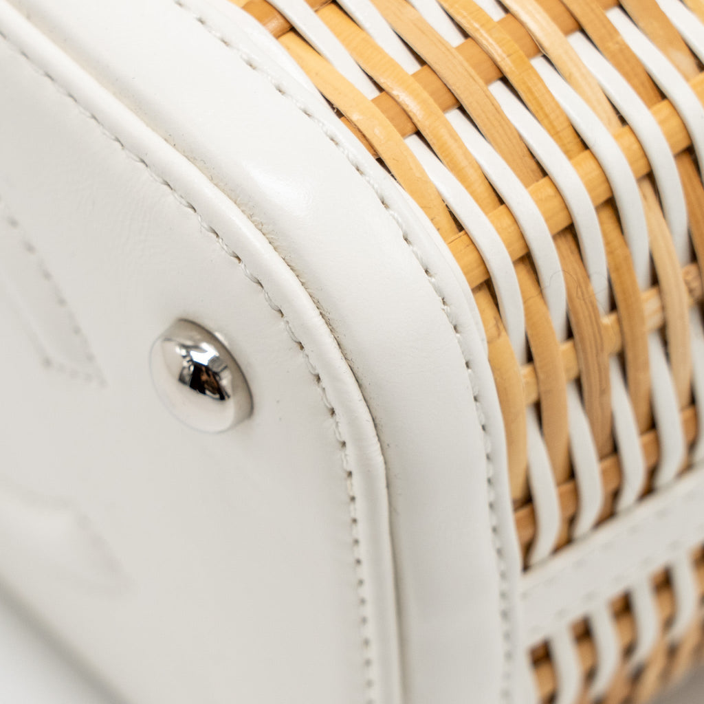 chanel-top-handle-vanity-case-bag-calfskin-raffia-white-shw-copy