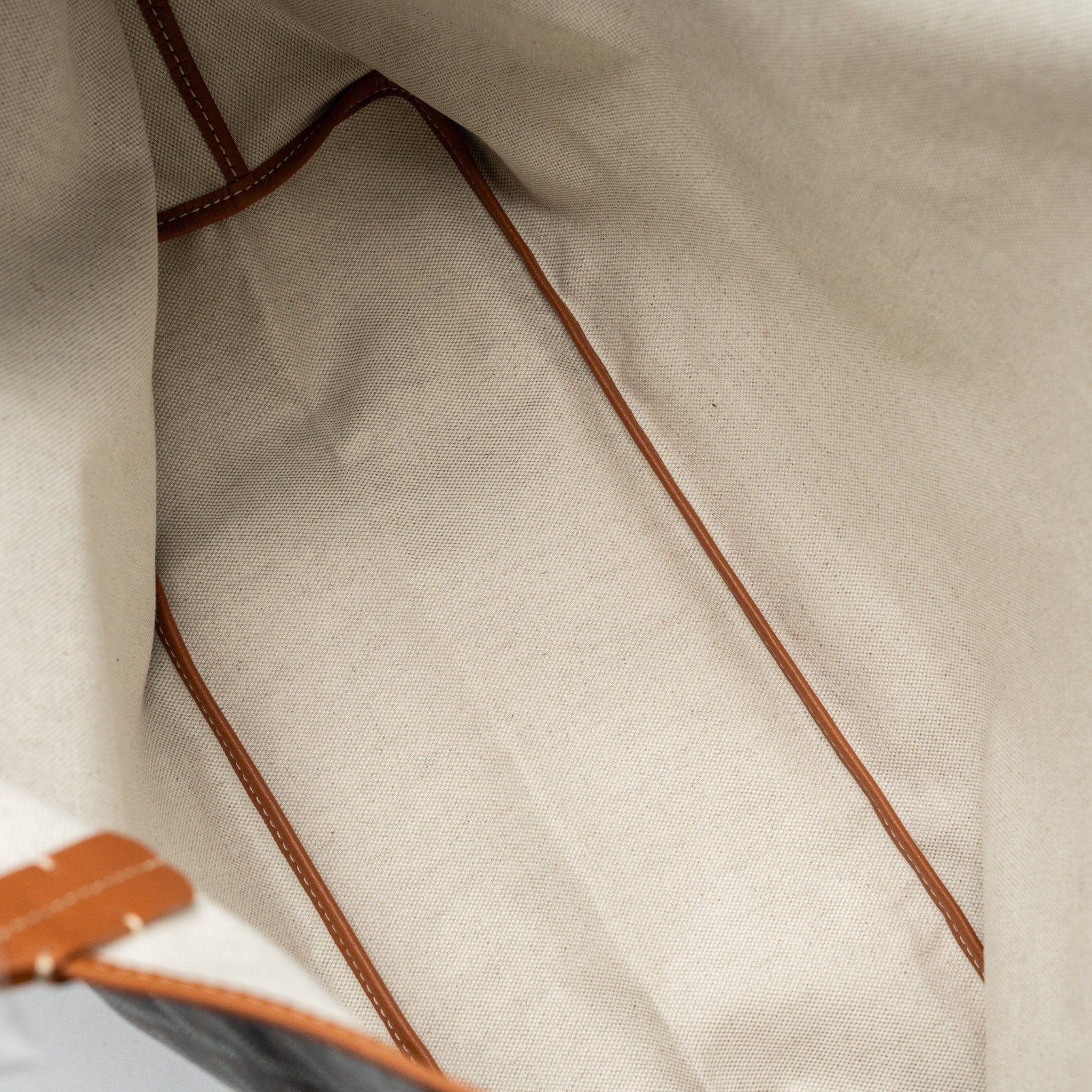 goyard-saint-louis-pm-tote-bag-goyardline-canvas-calfskin-brown