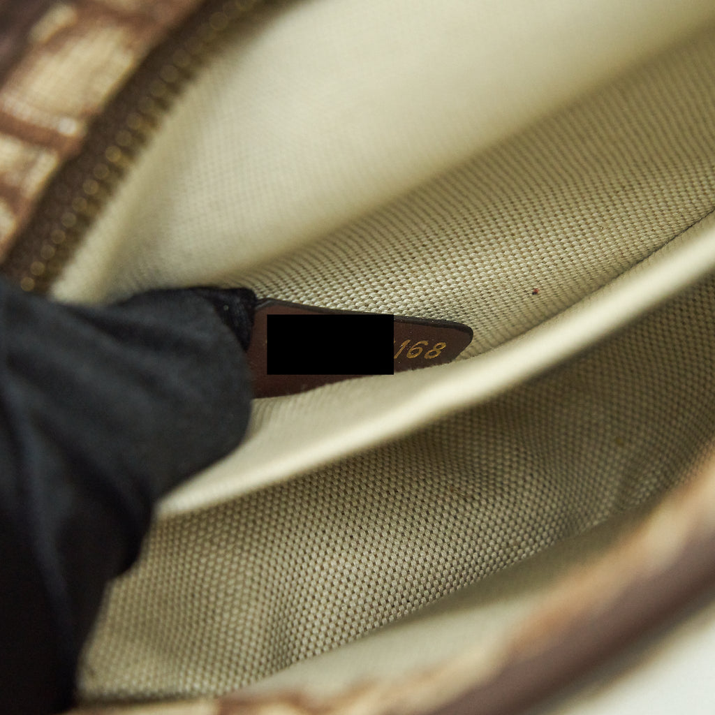 dior-diorquake-pouch-brown-oblique-canvas-ghw