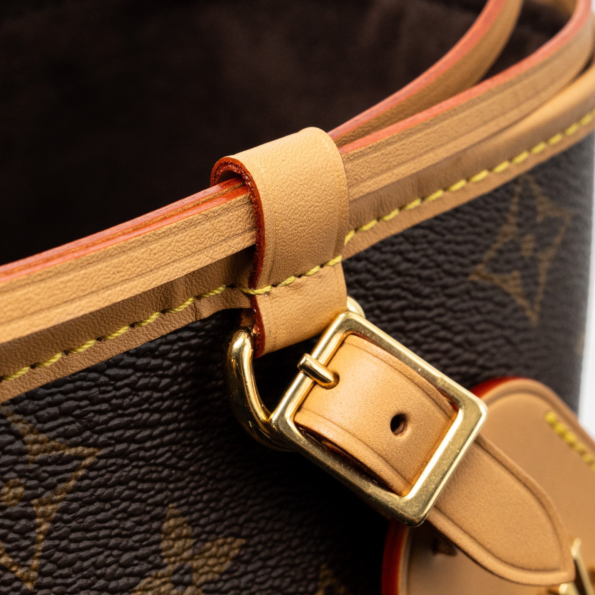 louis-vuitton-noe-purse-monogram-canvas-ghw-2
