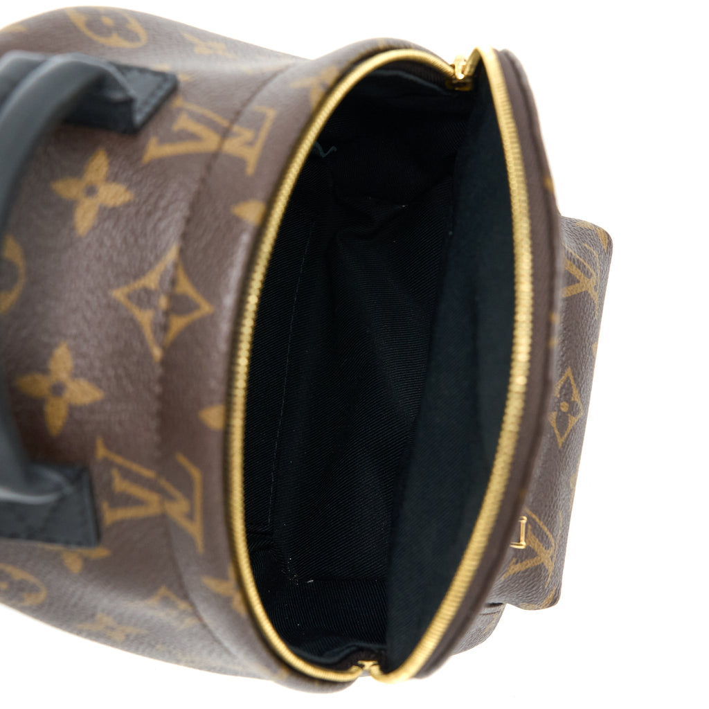 louis-vuitton-mini-palm-spring-backpack-monogram-canvas-ghw