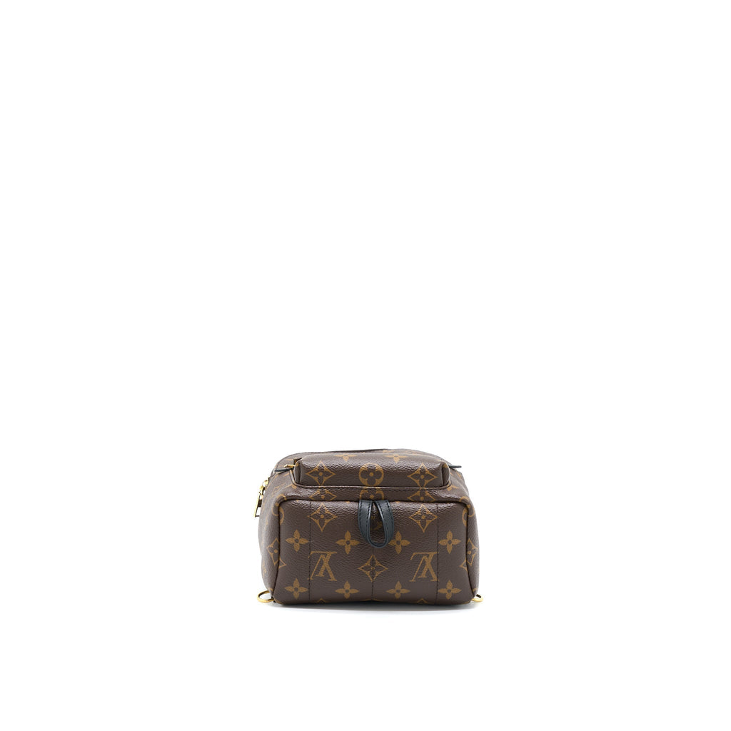 louis-vuitton-palm-spring-mini-backpack-monogram-canvasnew-version-zipper