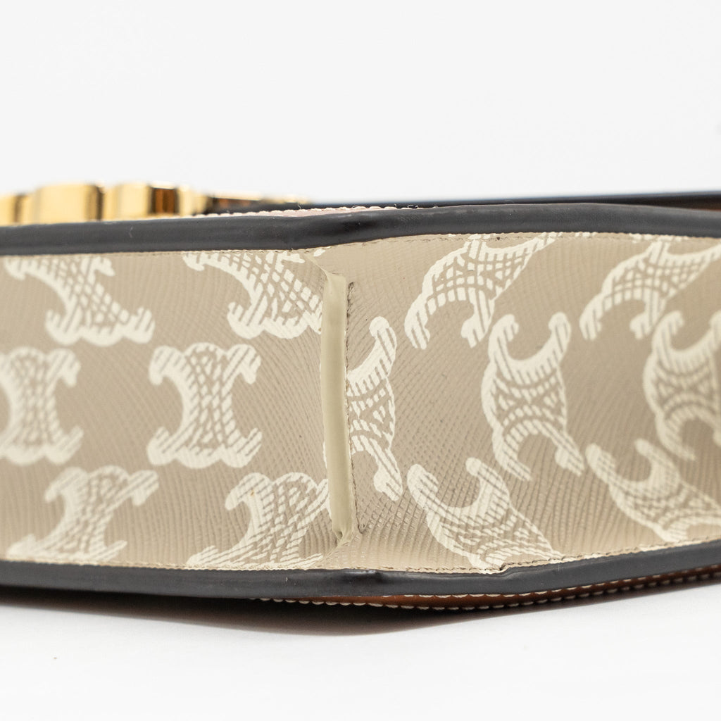 celine-envelope-bag-in-triomphe