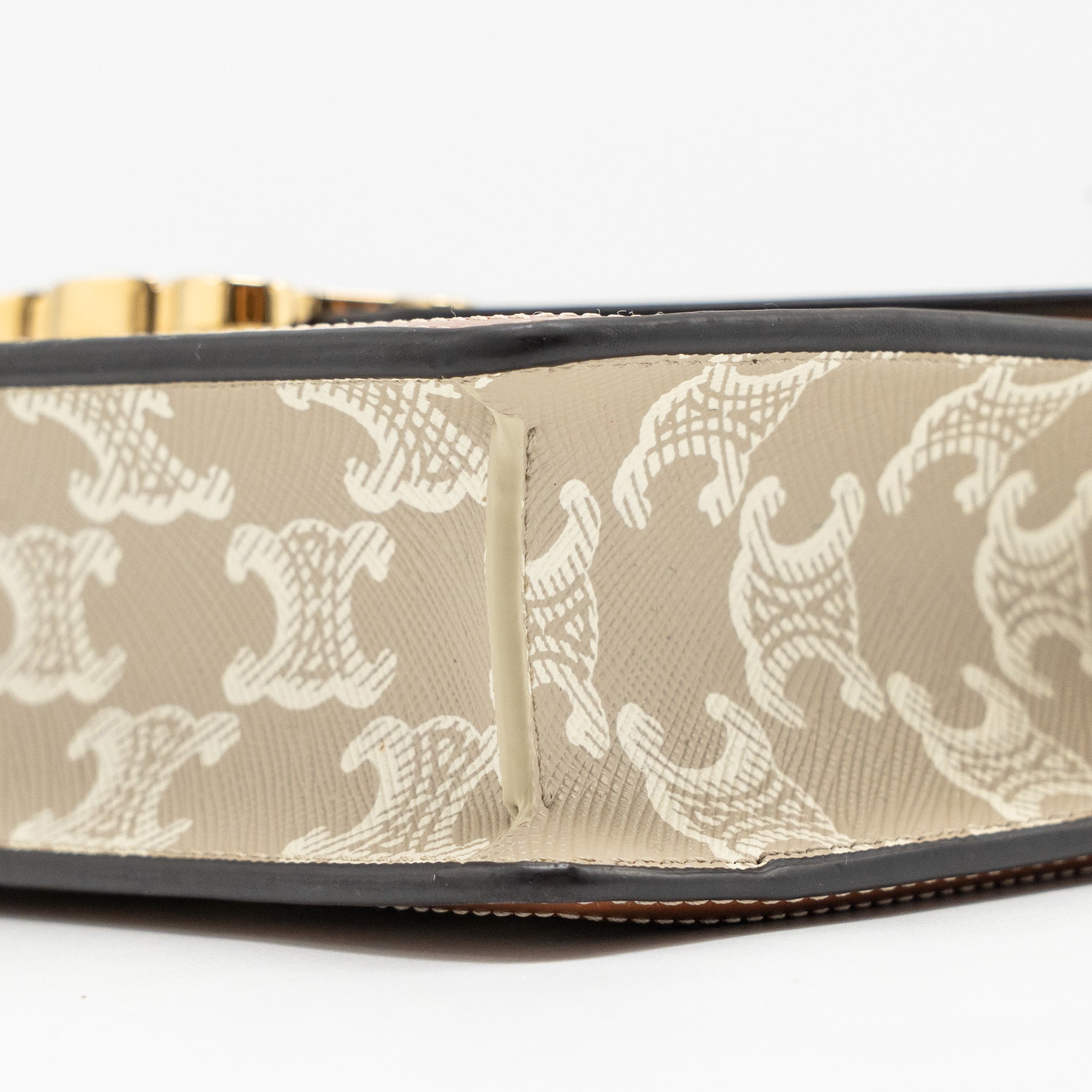 celine-envelope-bag-in-triomphe