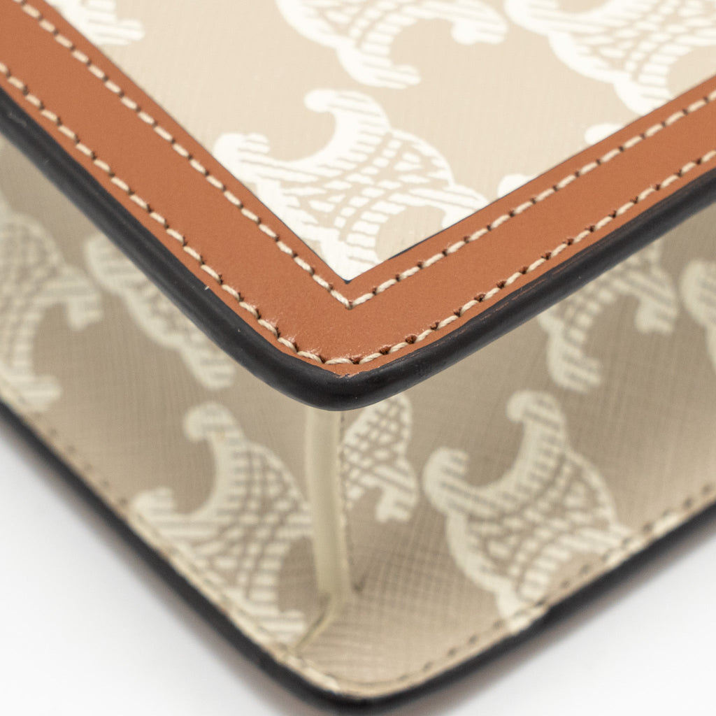 celine-envelope-bag-in-triomphe